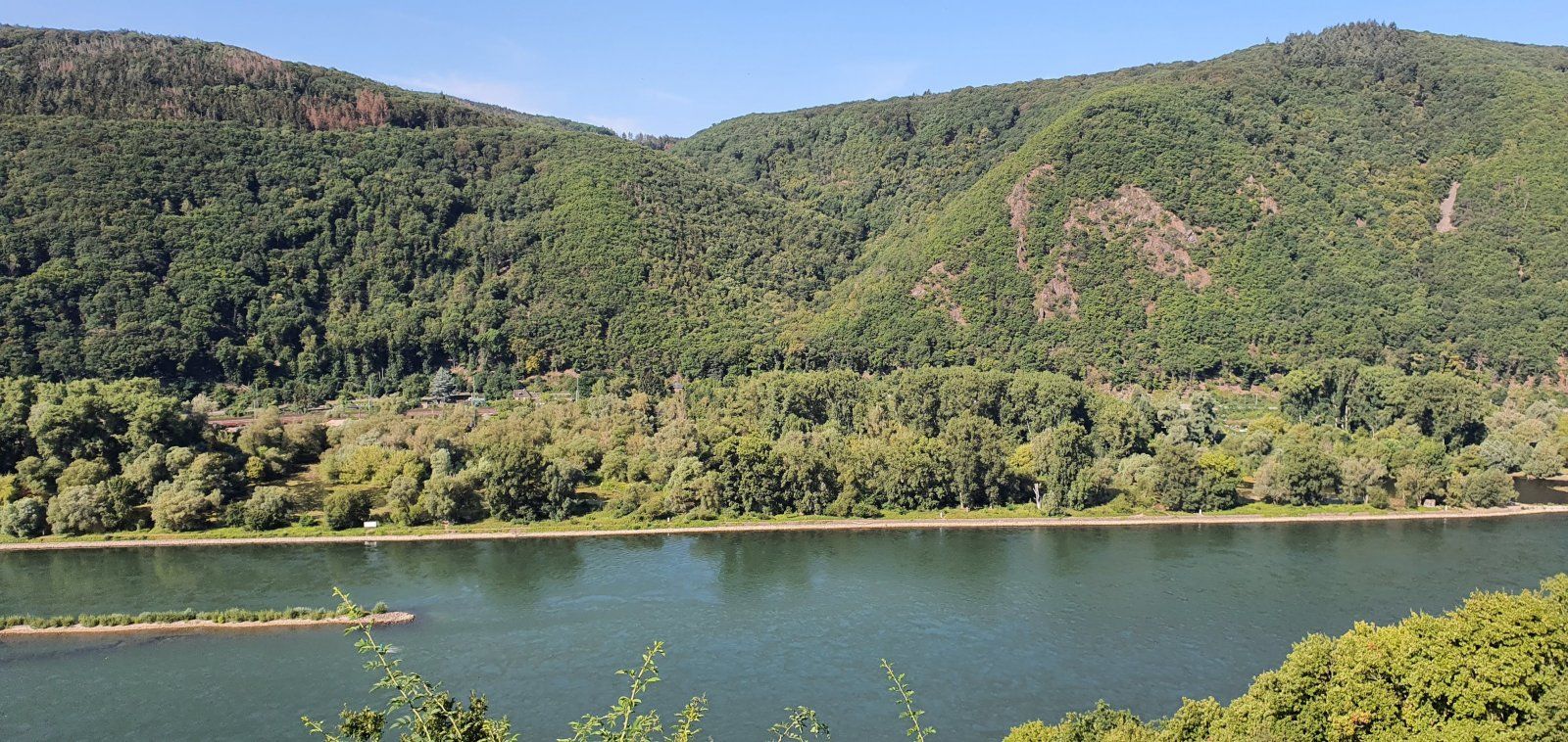 20200721_093833.jpg