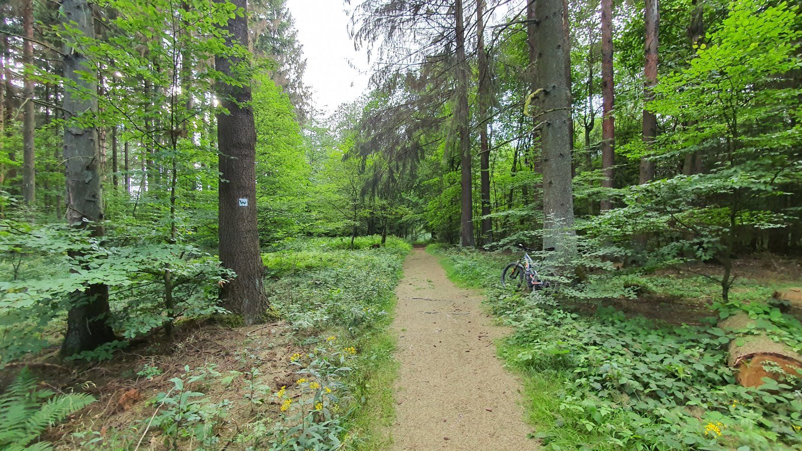 20200727_185339.jpg