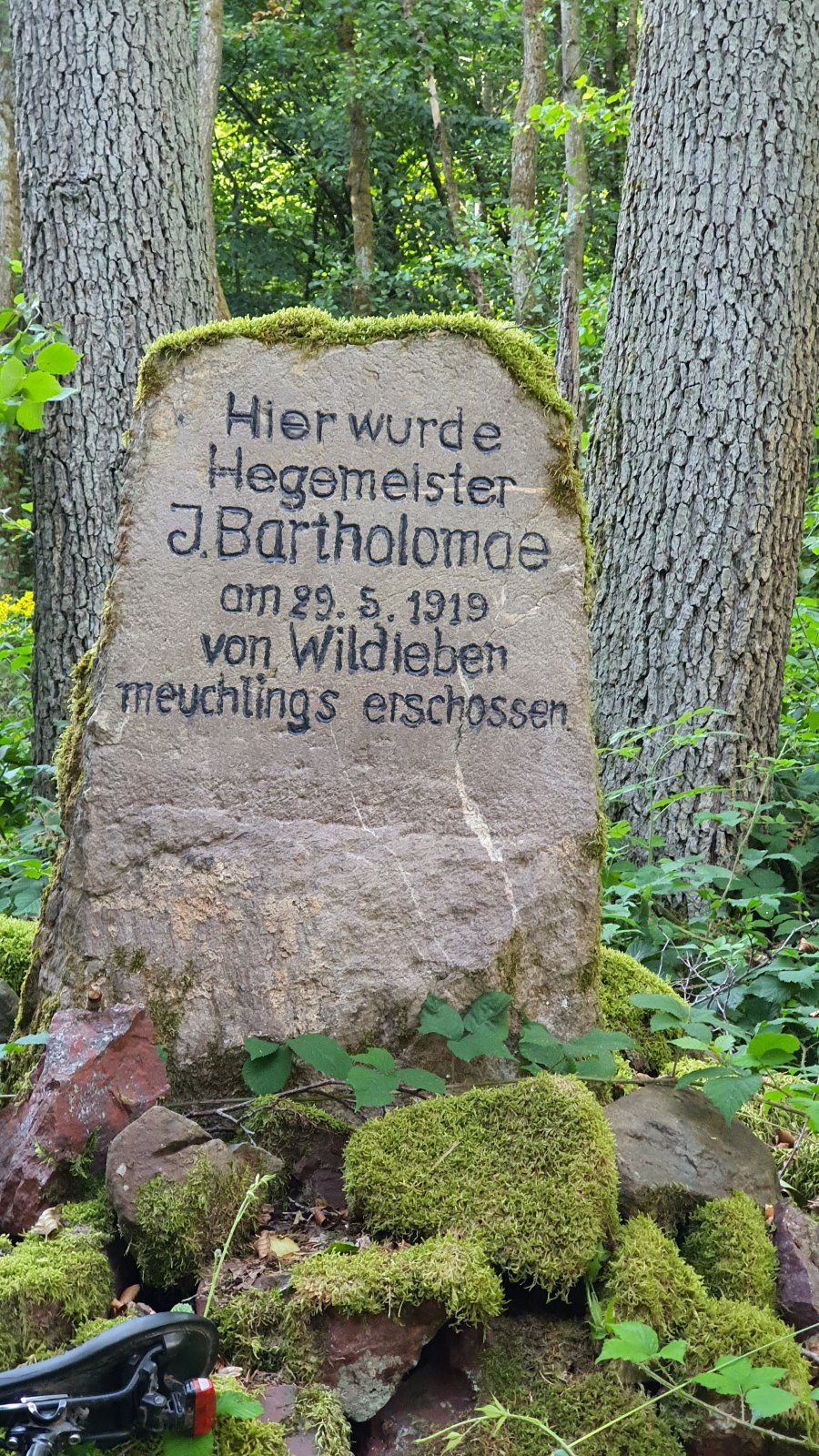 20200729_185330.jpg