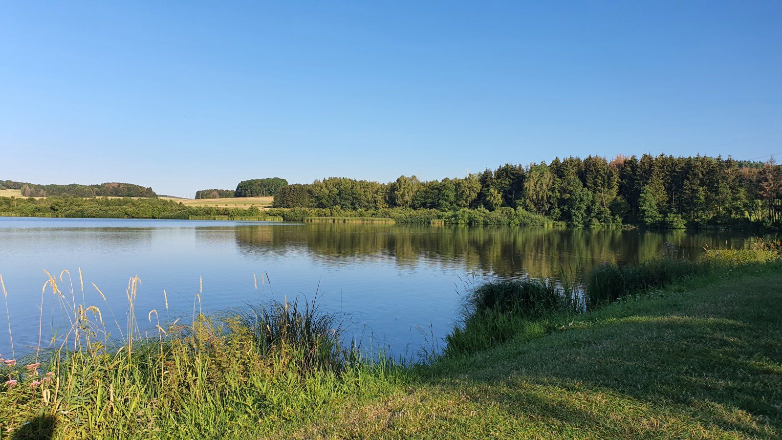 20200805_185630.jpg