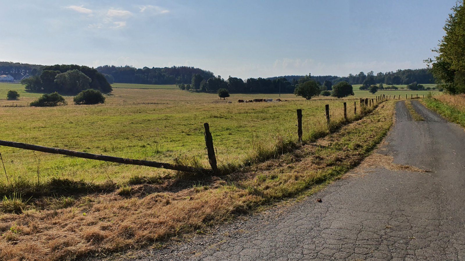20200809_090712.jpg