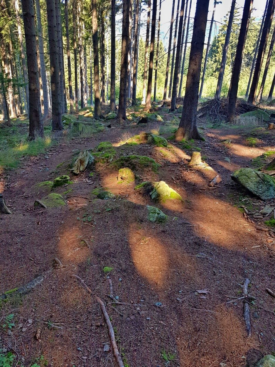 20200816_103215.jpg