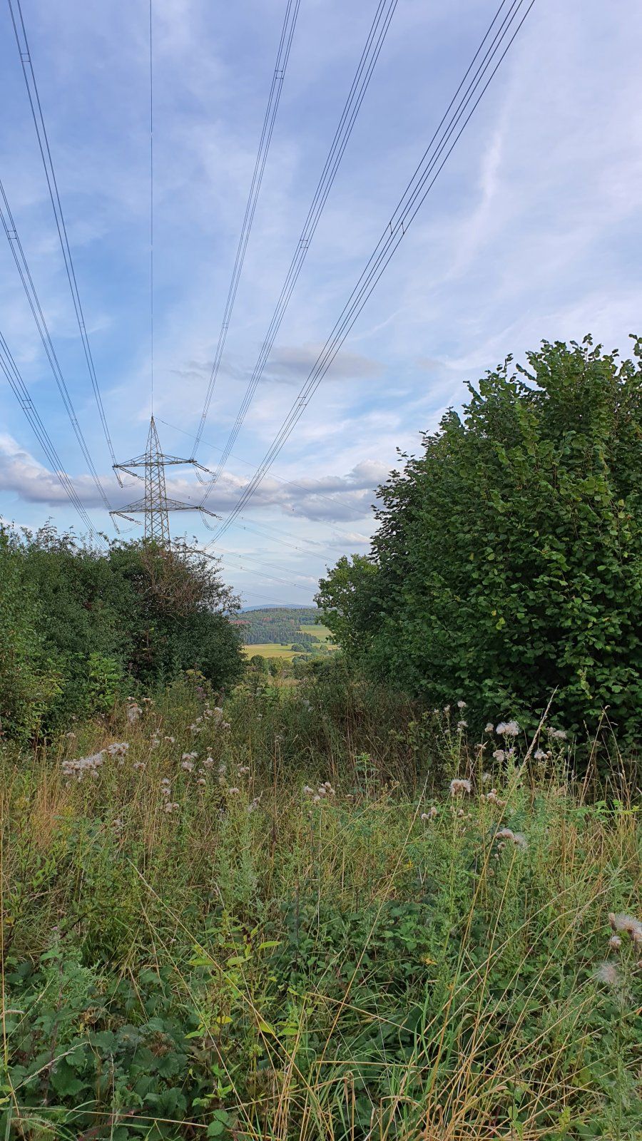 20200819_191214.jpg
