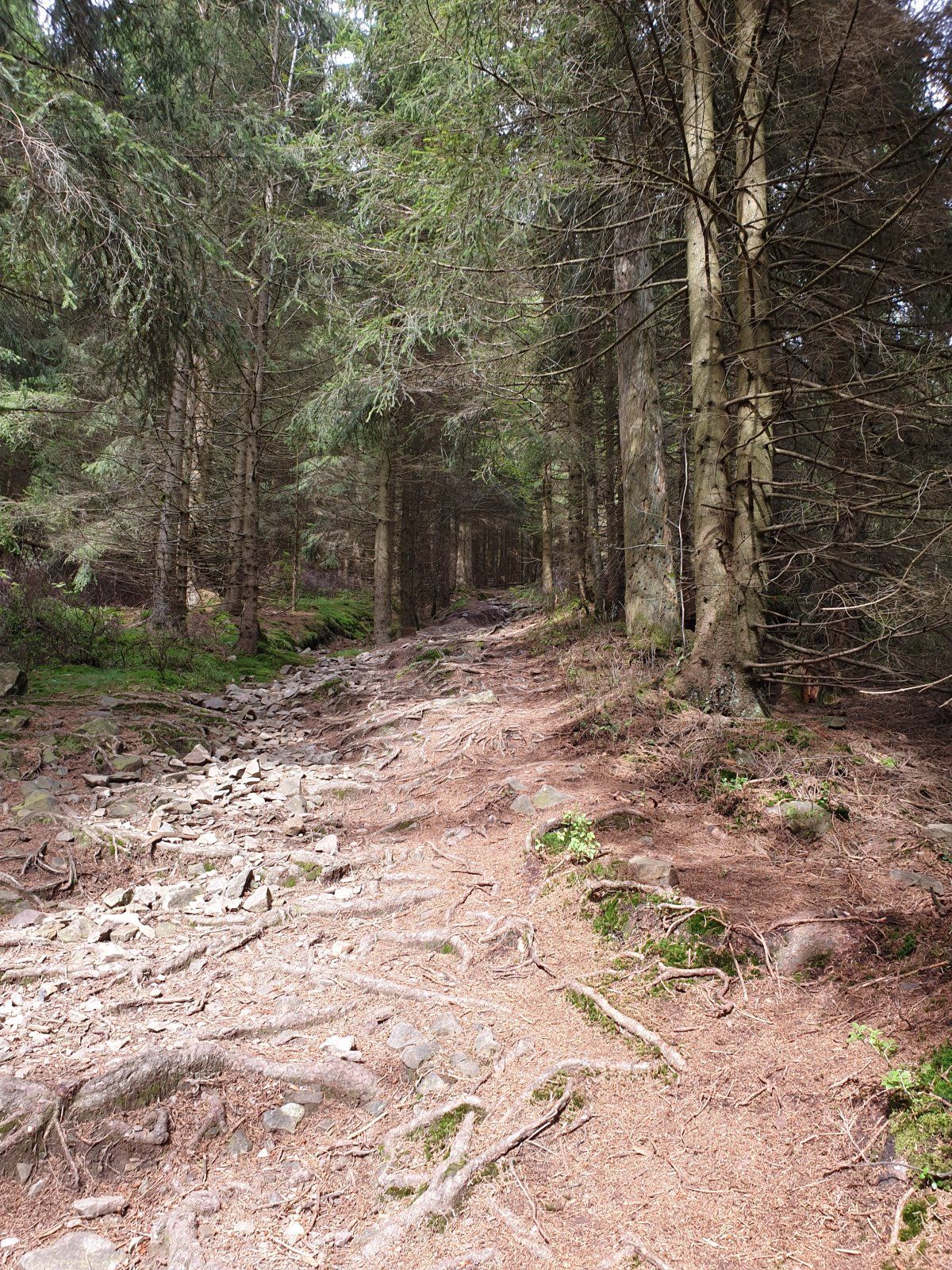 20200829_141423.jpg