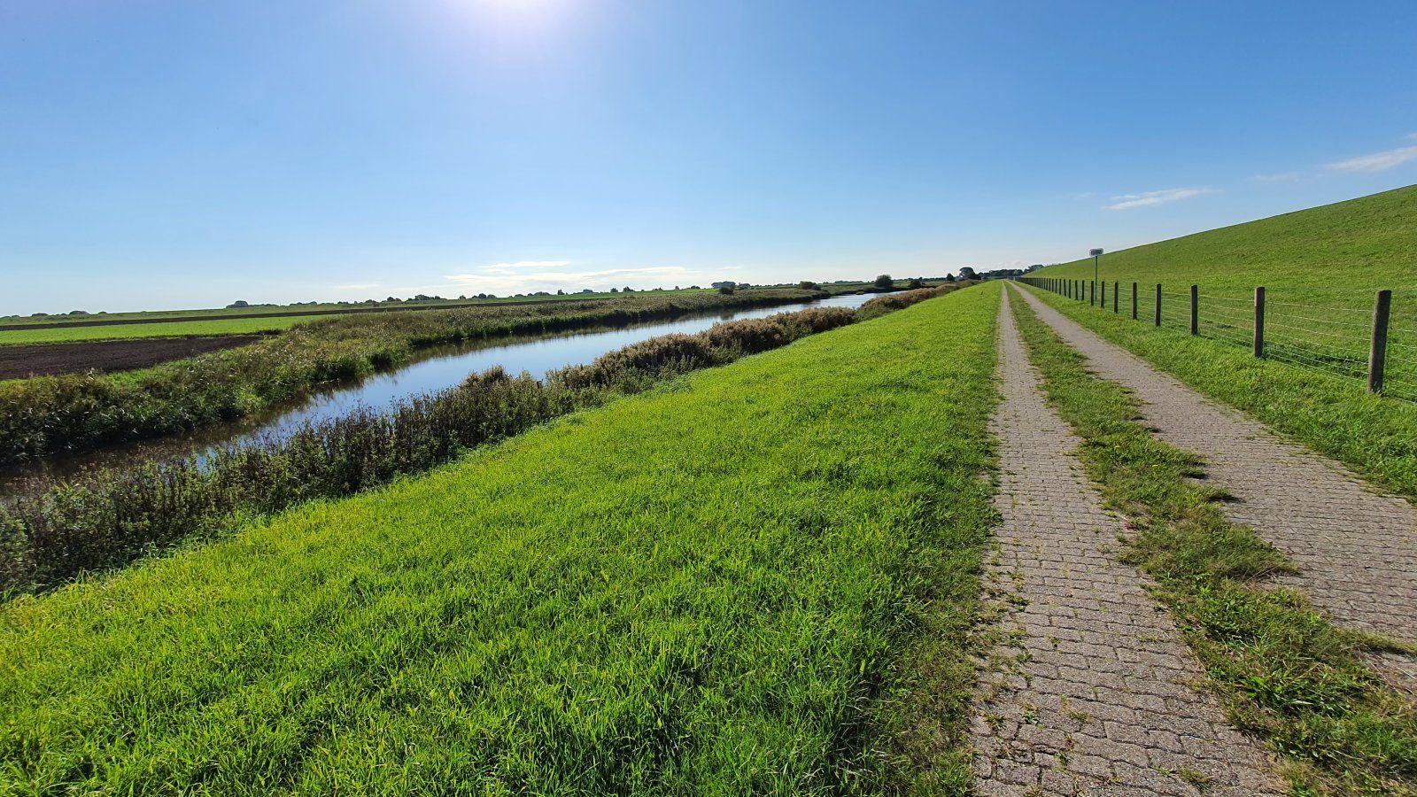 20200901_101736.jpg