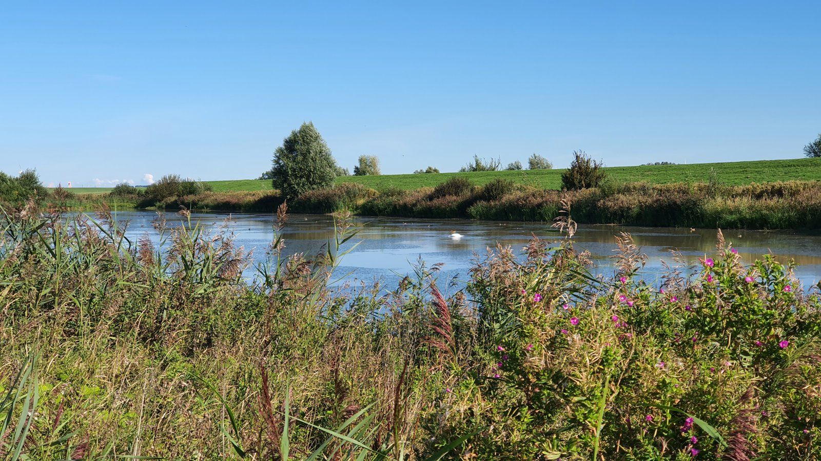 20200901_102402.jpg
