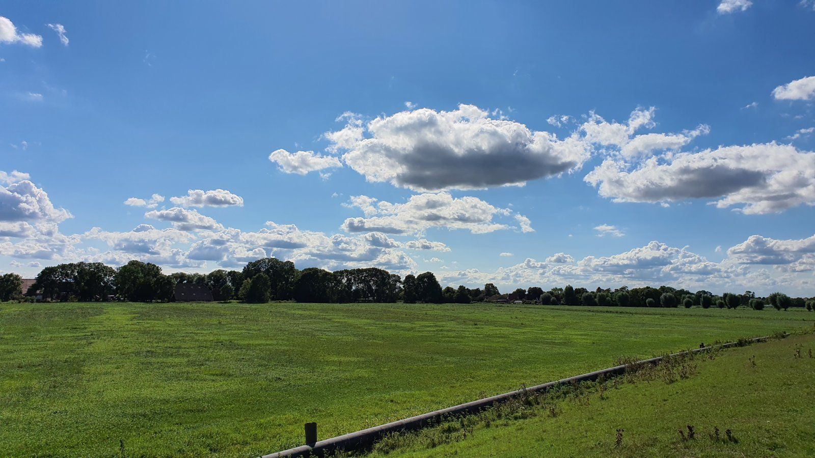 20200901_152318.jpg