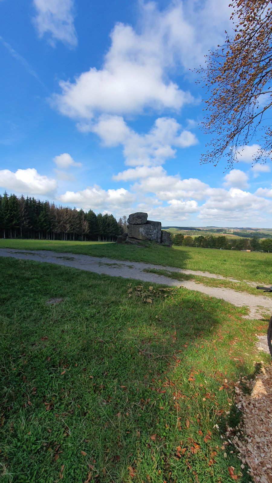 20200906_101901.jpg