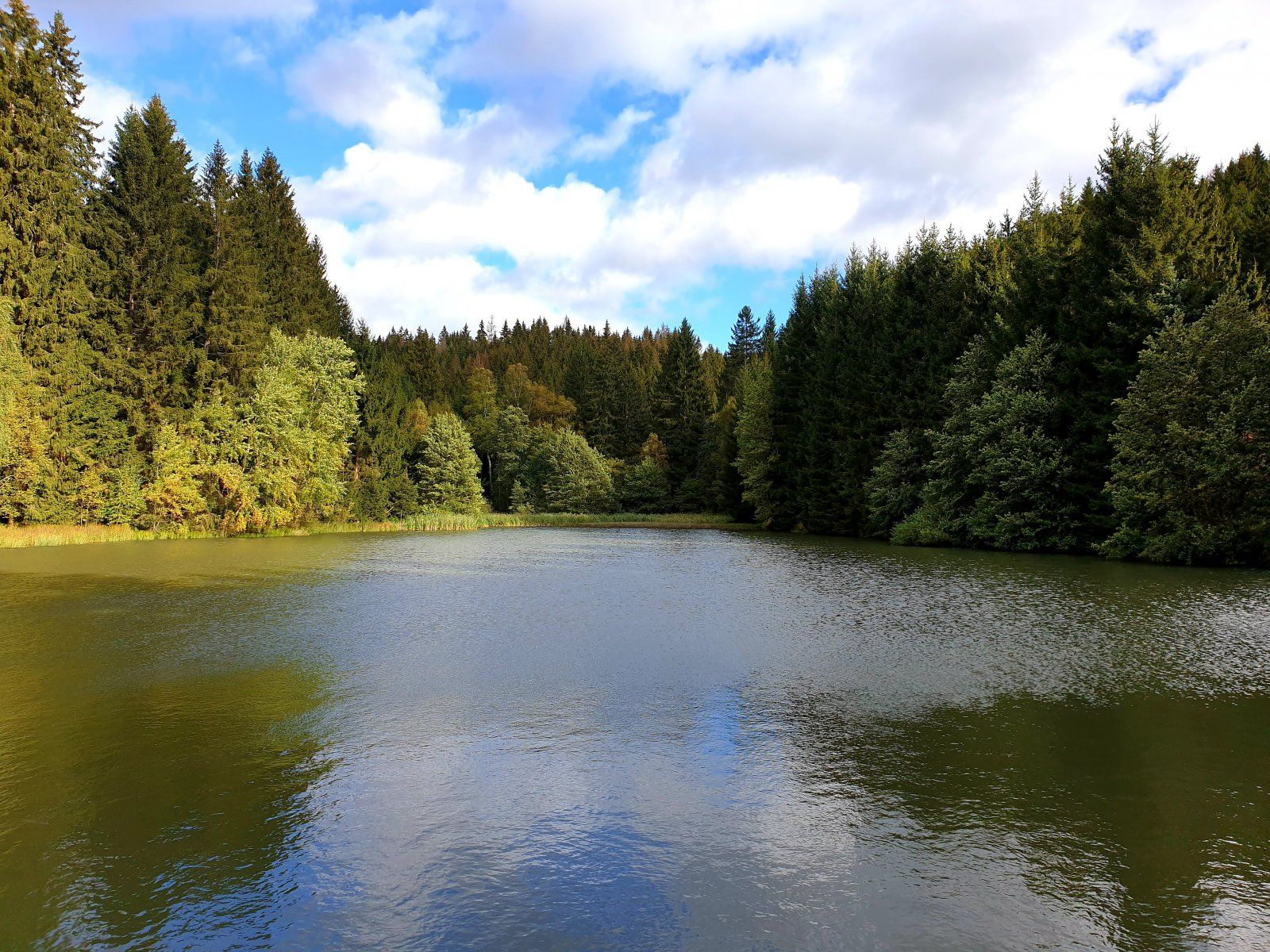 20201004_122015.jpg