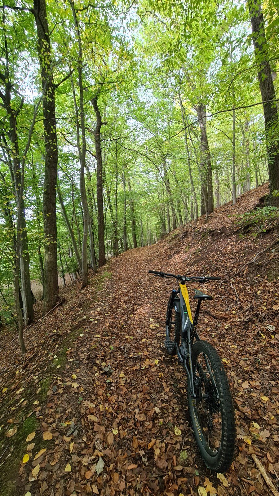20201016_114208.jpg