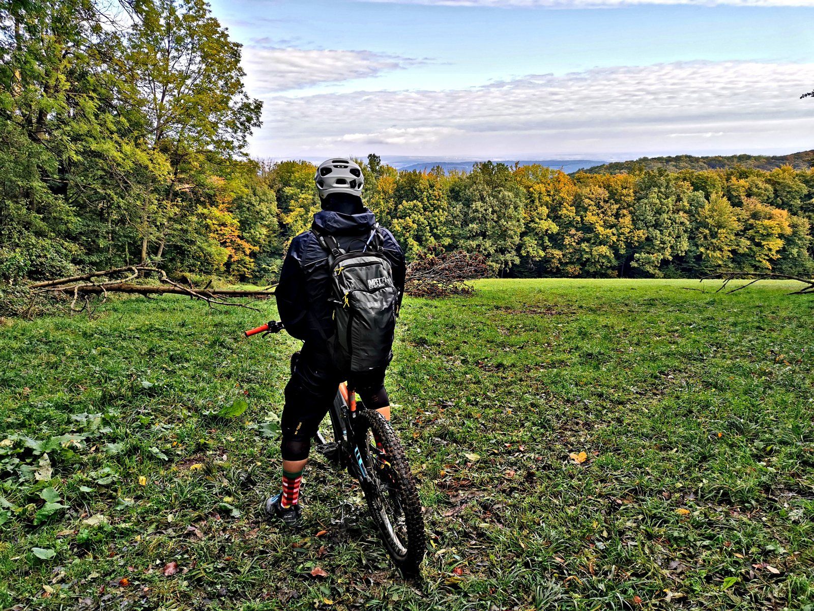 20201018_120001.jpg
