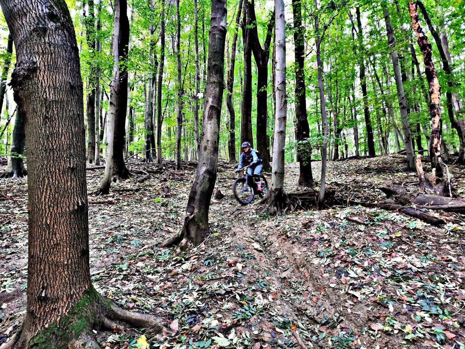 20201018_120016.jpg