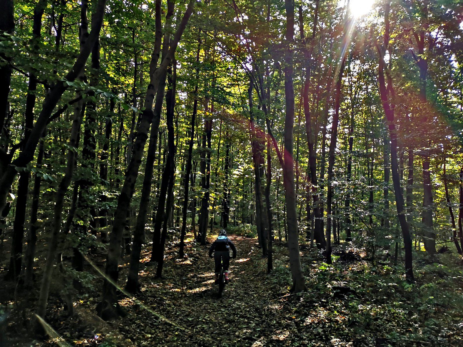 20201018_120059.jpg