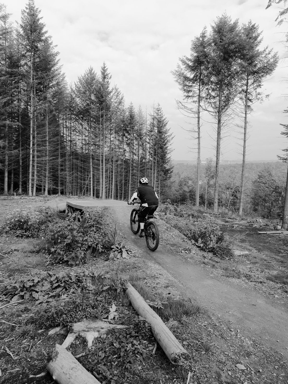 20201018_151808_04.jpg