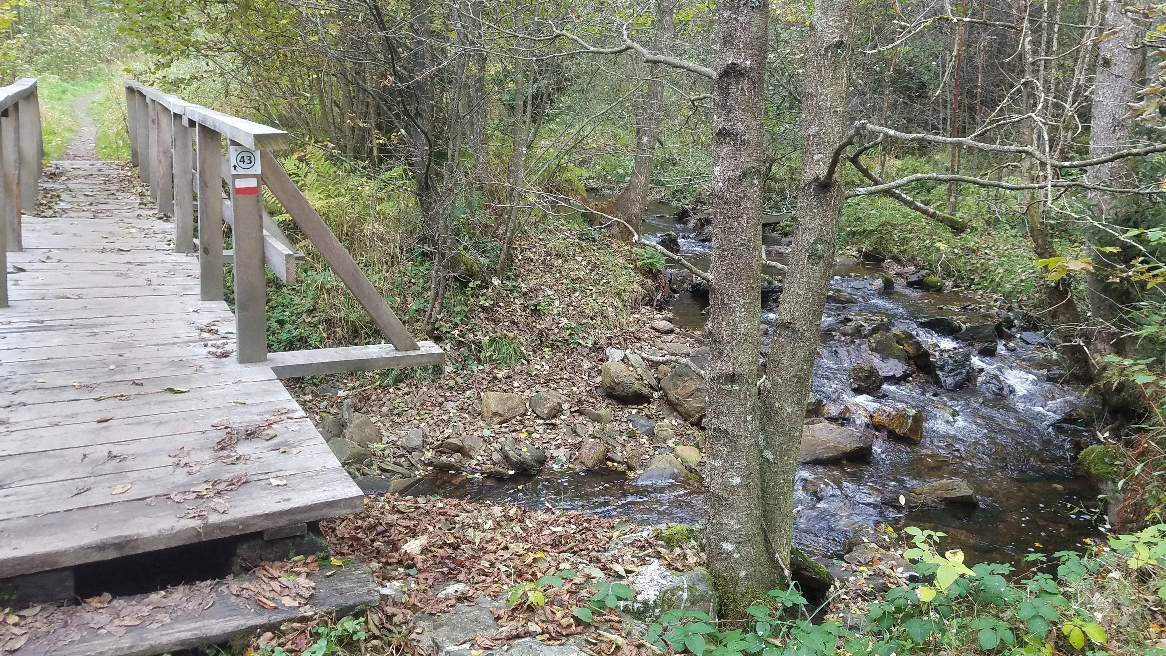 20201020_134526.jpg