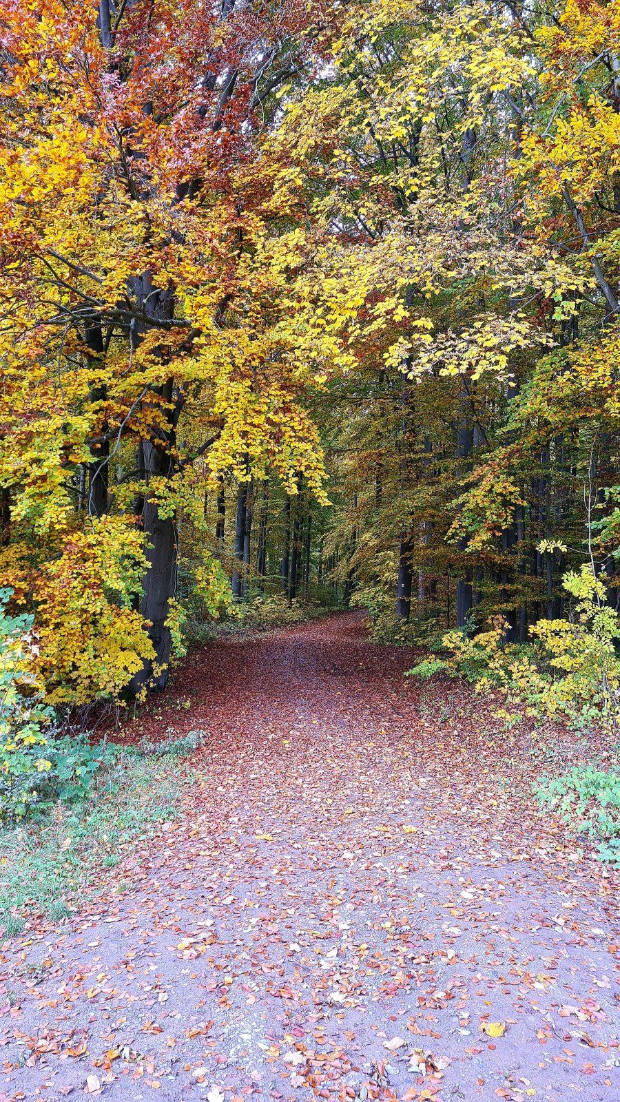 20201025_121302.jpg