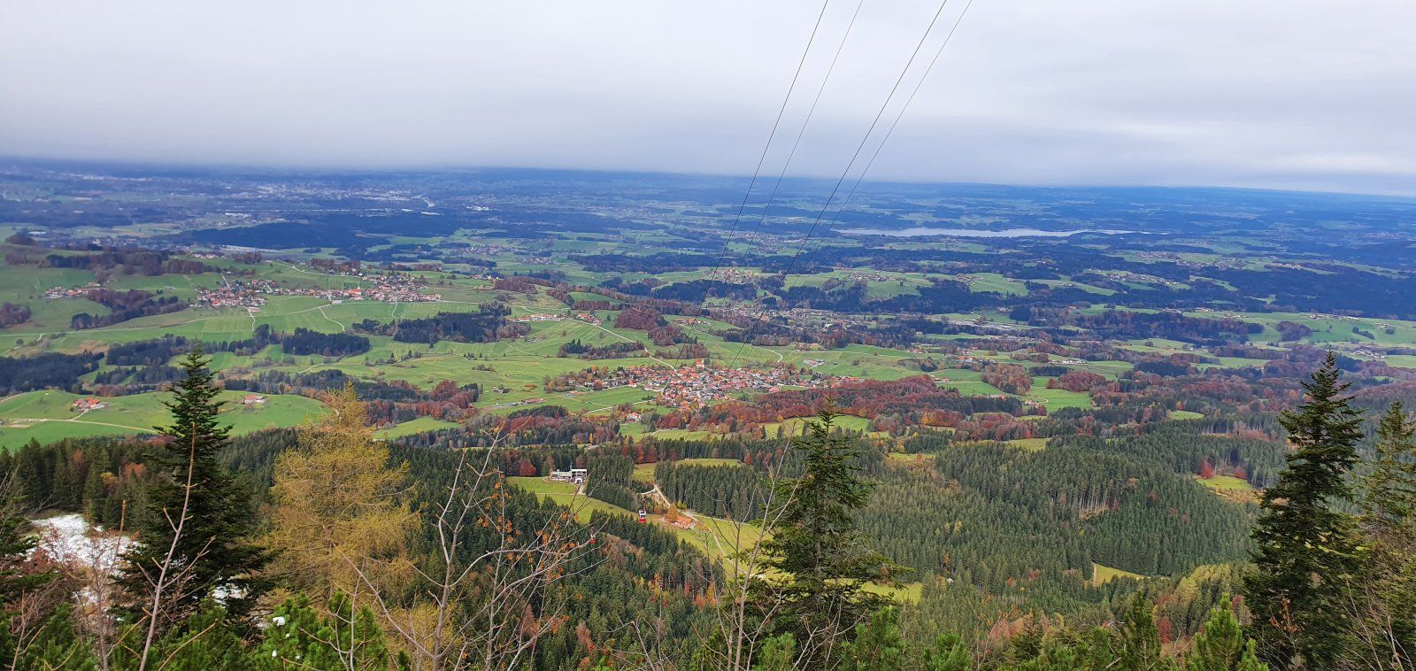 20201028_112917.jpg