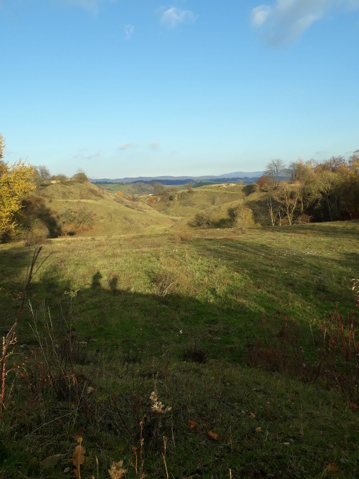 20201105_145810.jpg
