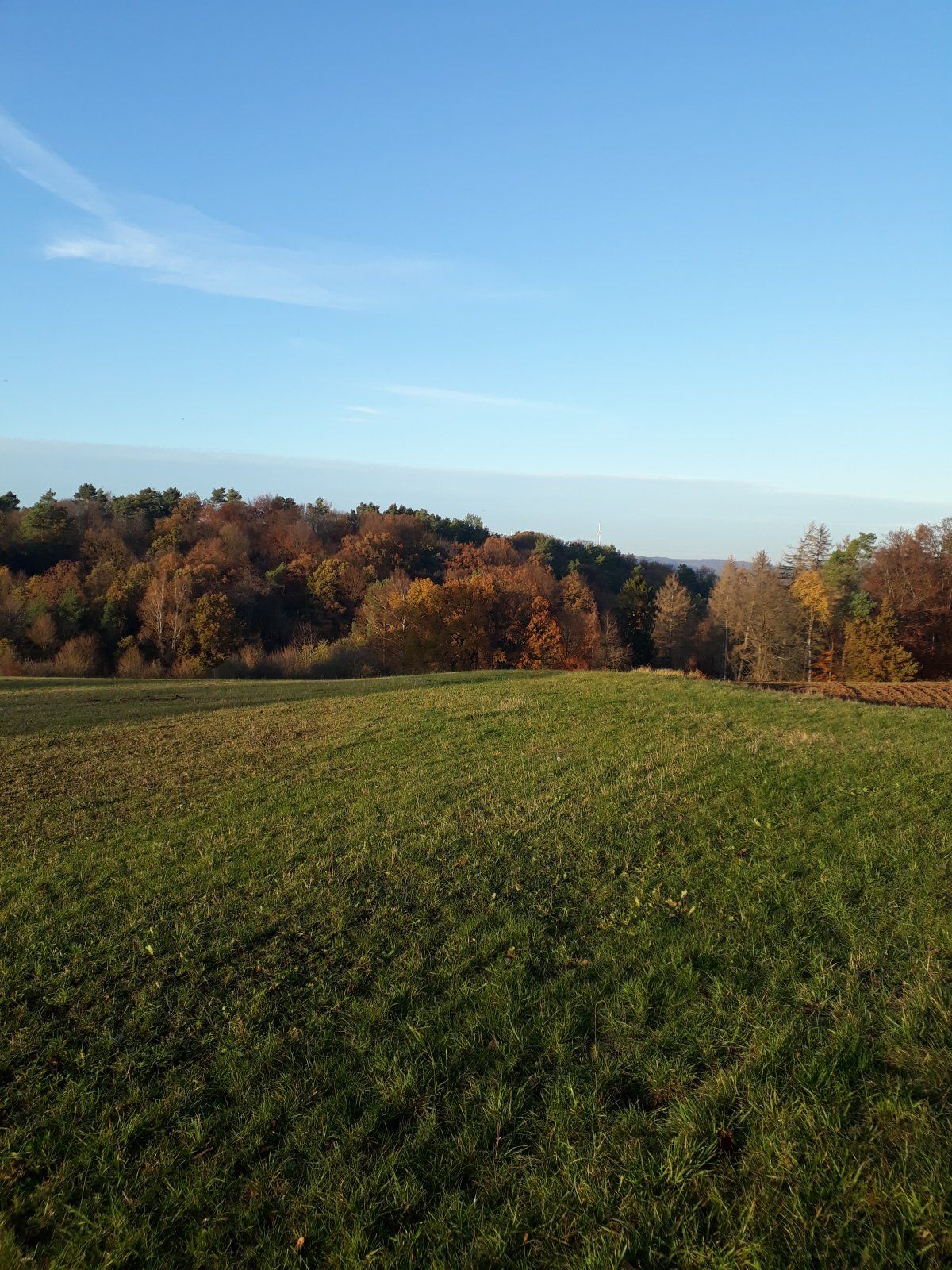 20201105_155156.jpg