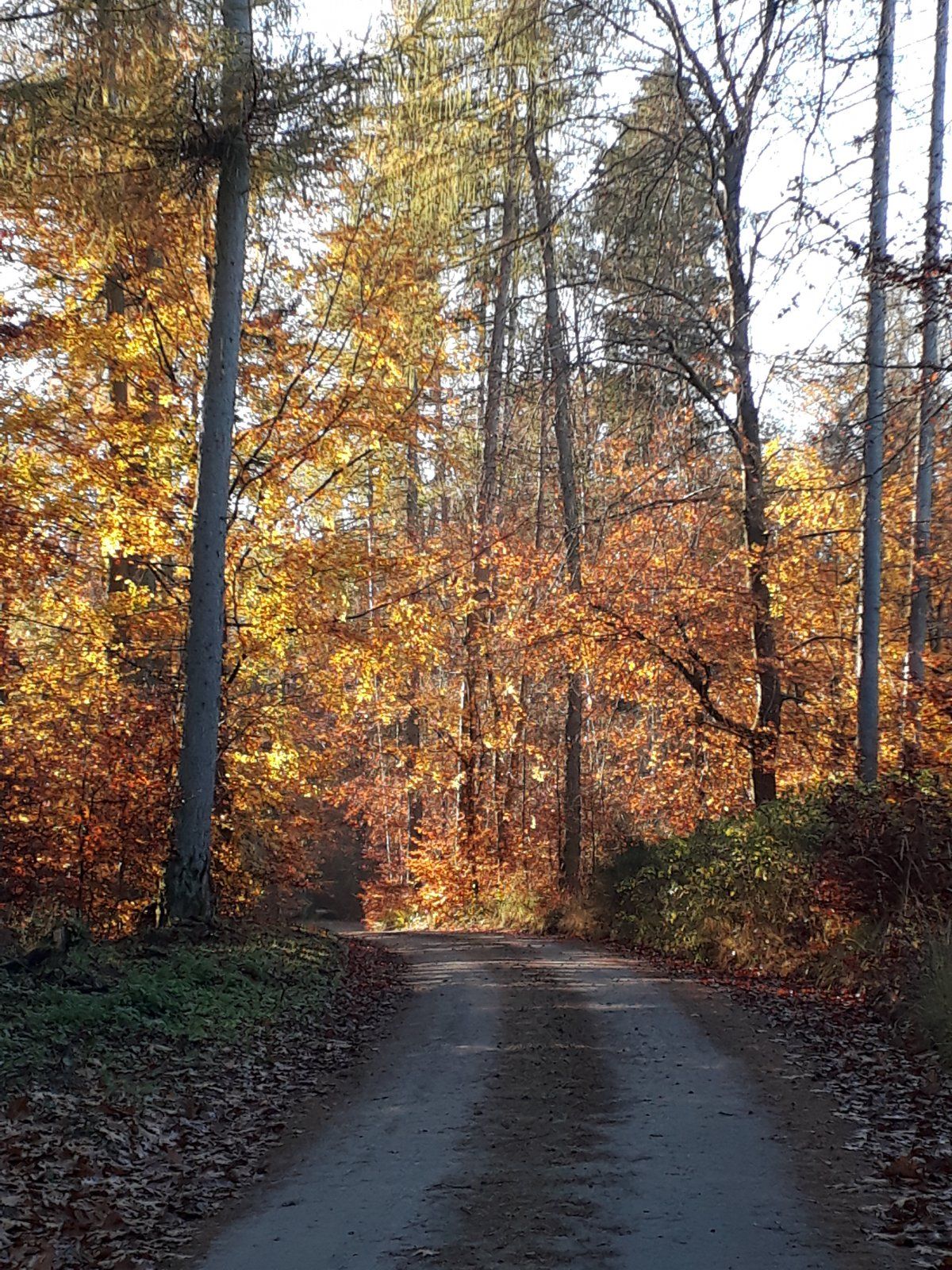 20201106_152219.jpg