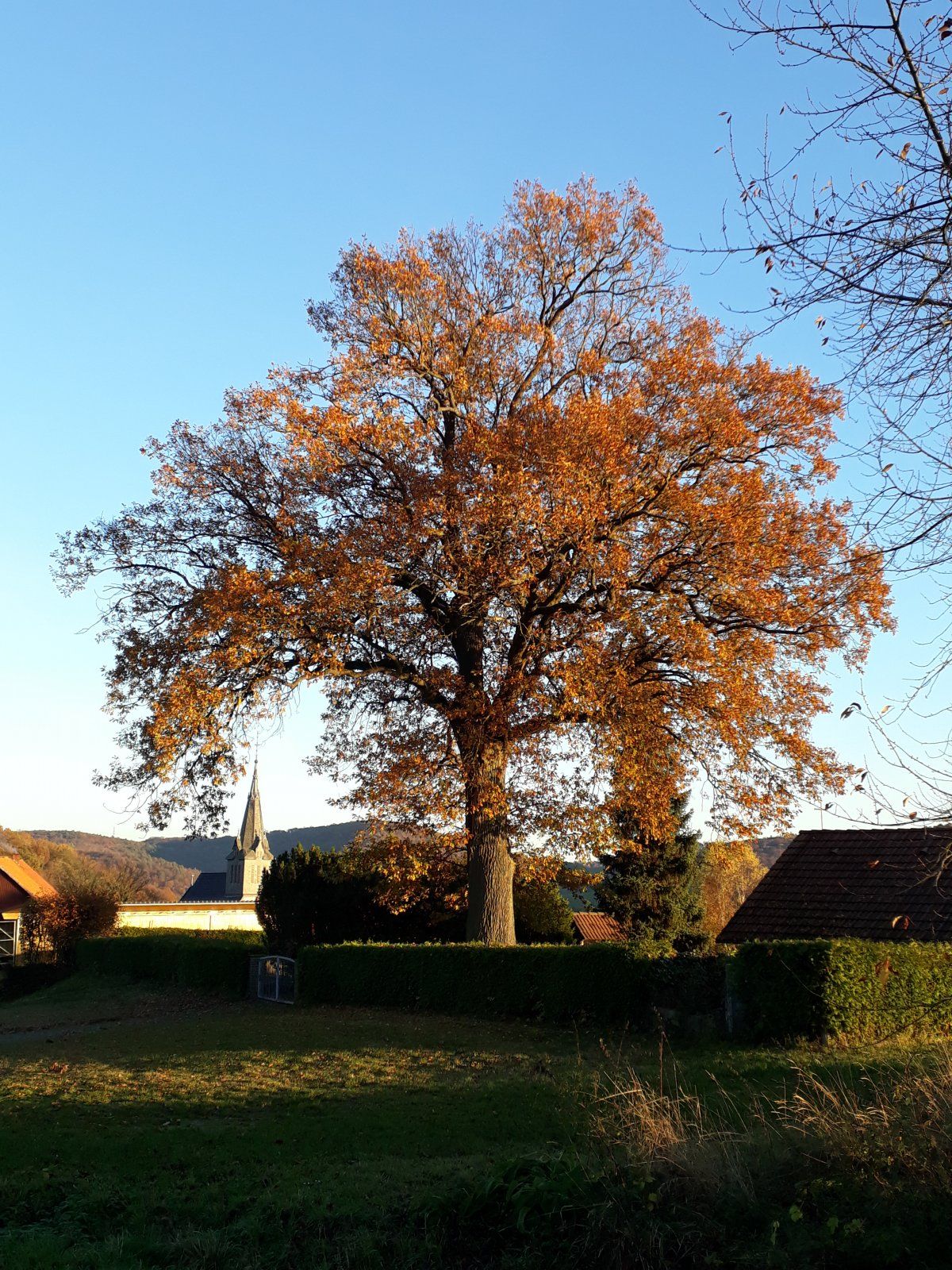 20201106_161021.jpg