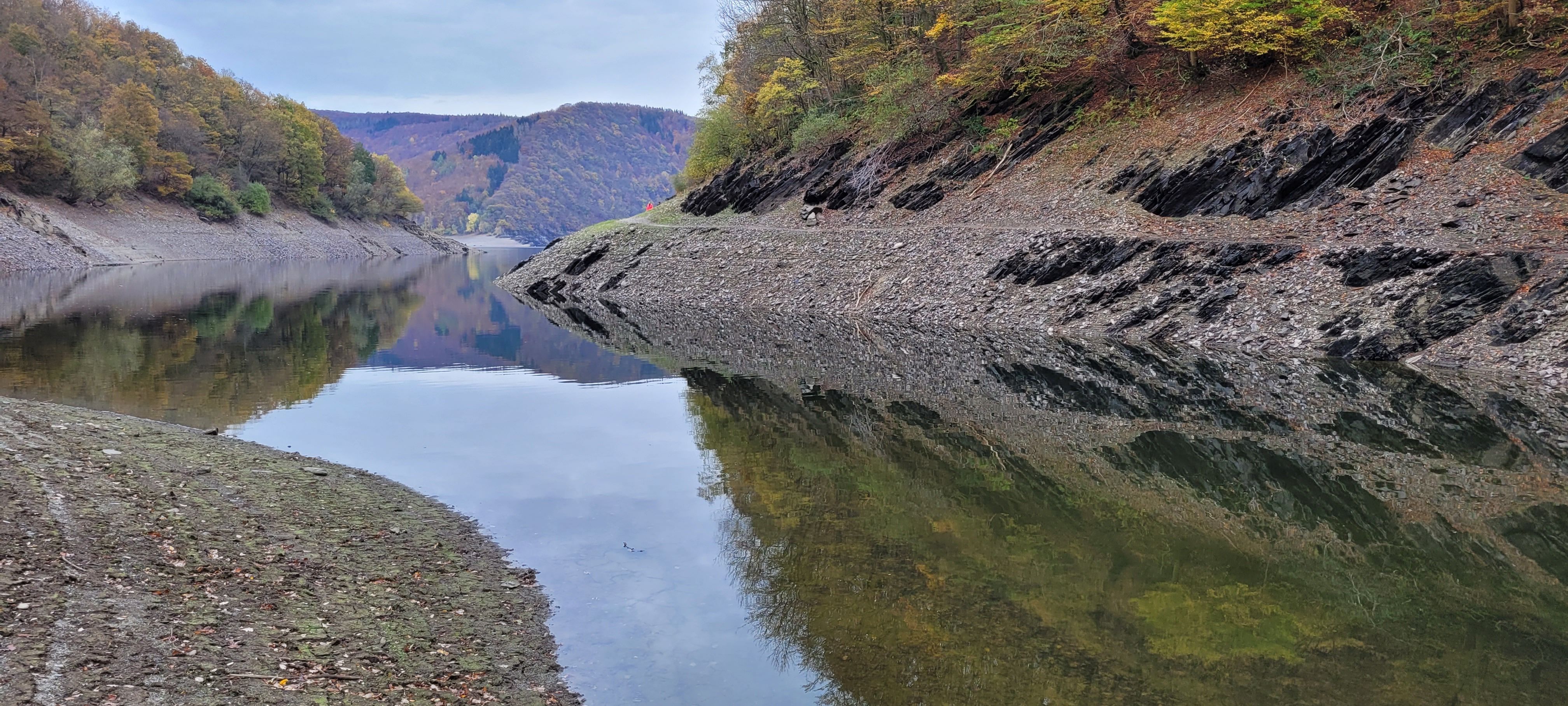 20201108_132348.jpg
