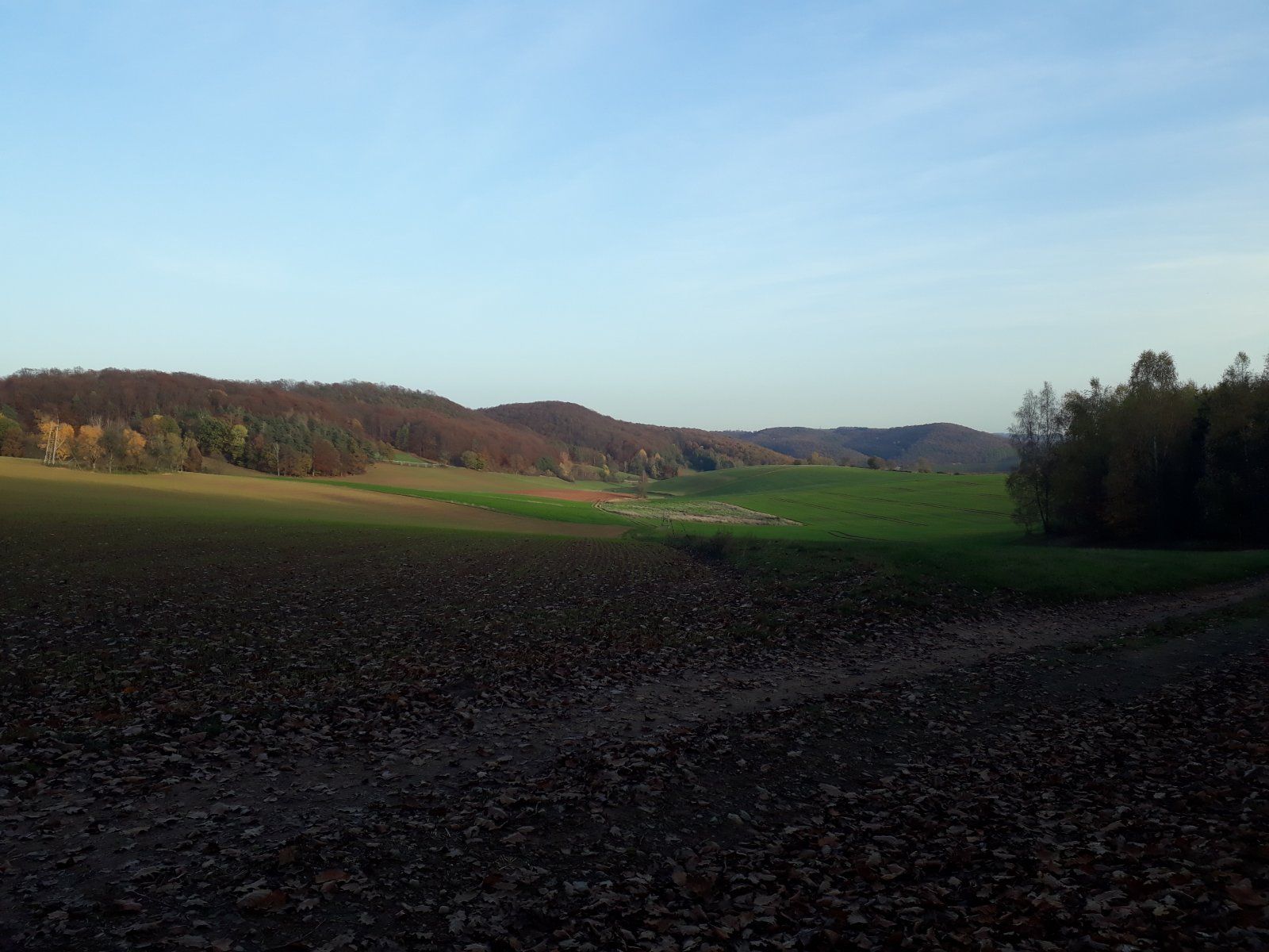 20201108_152800.jpg