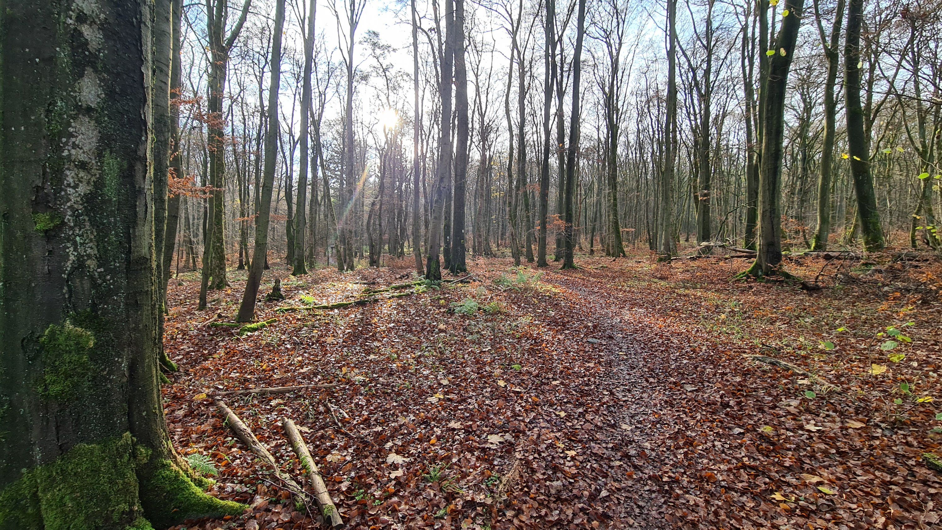 20201115_103924.jpg