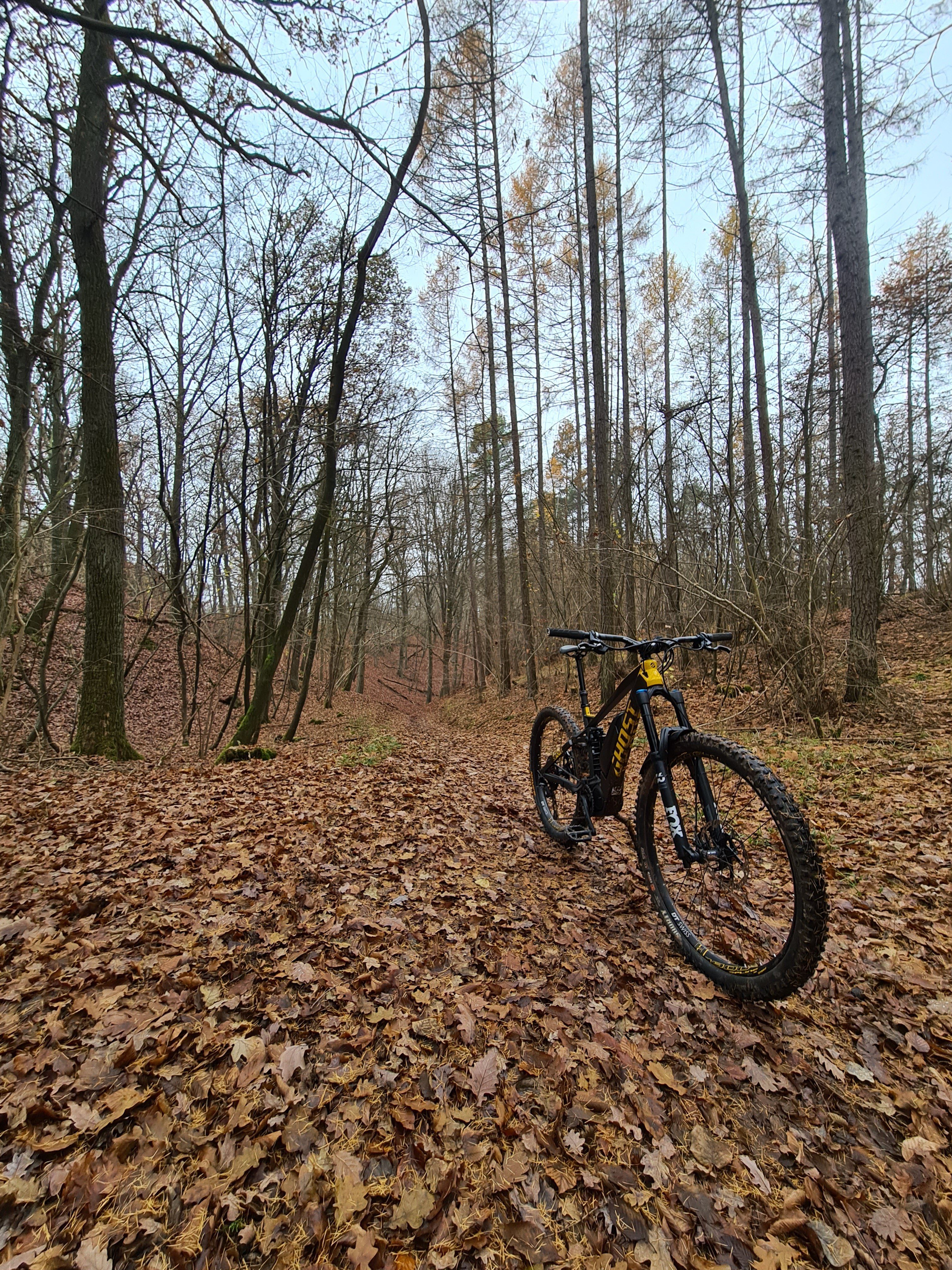 20201126_102149.jpg