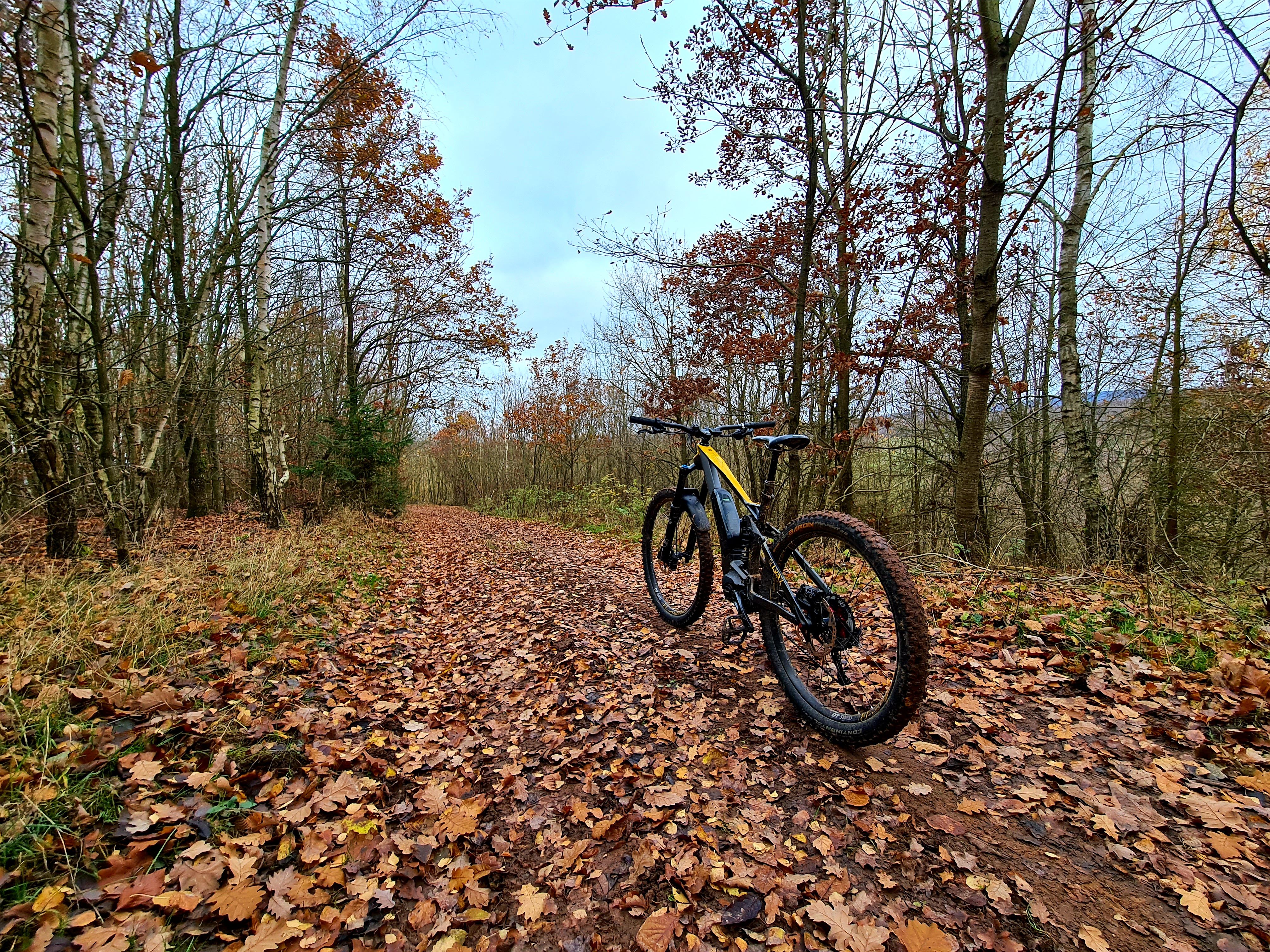 20201129_114003.jpg