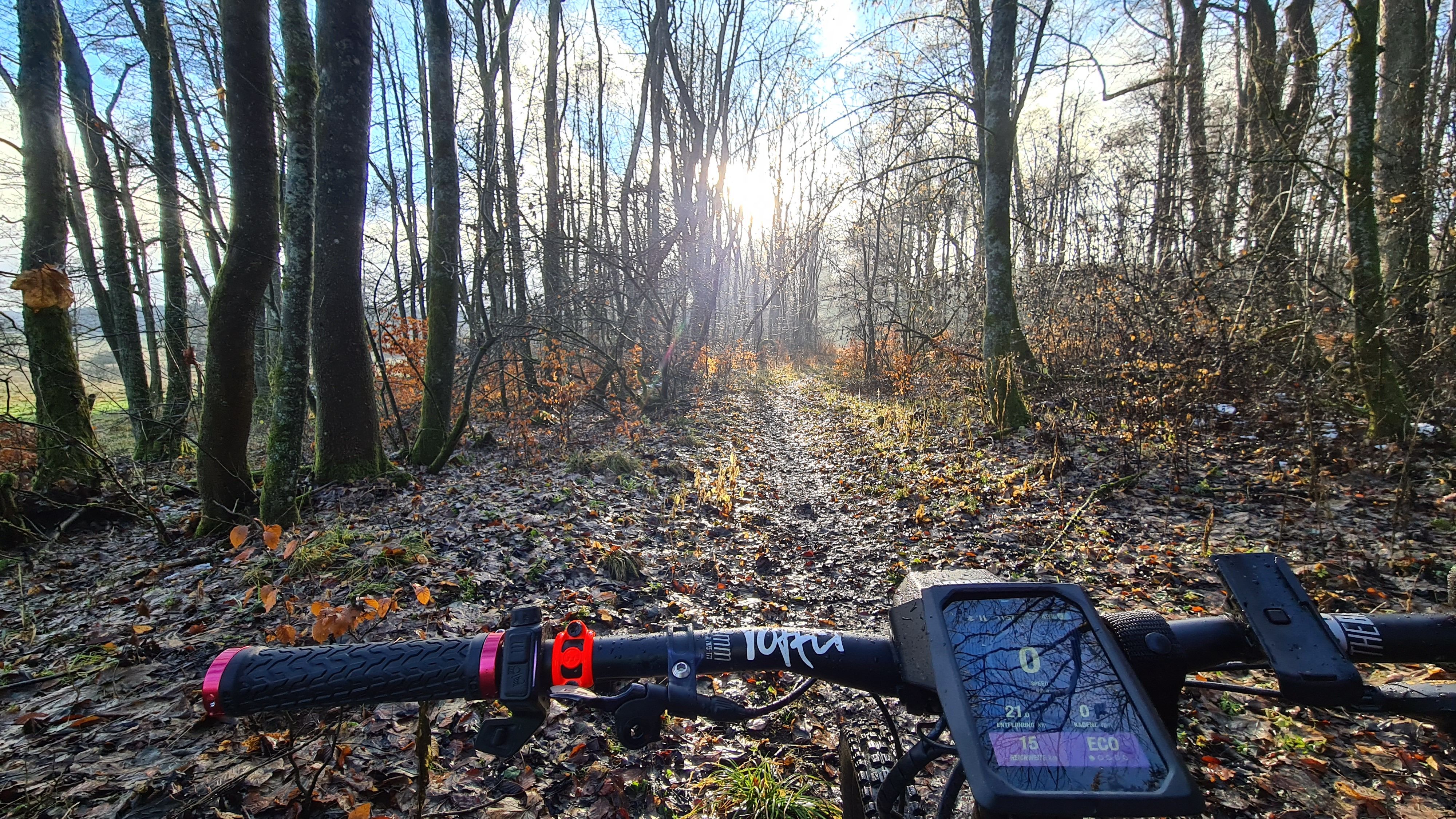 20201213_104903.jpg