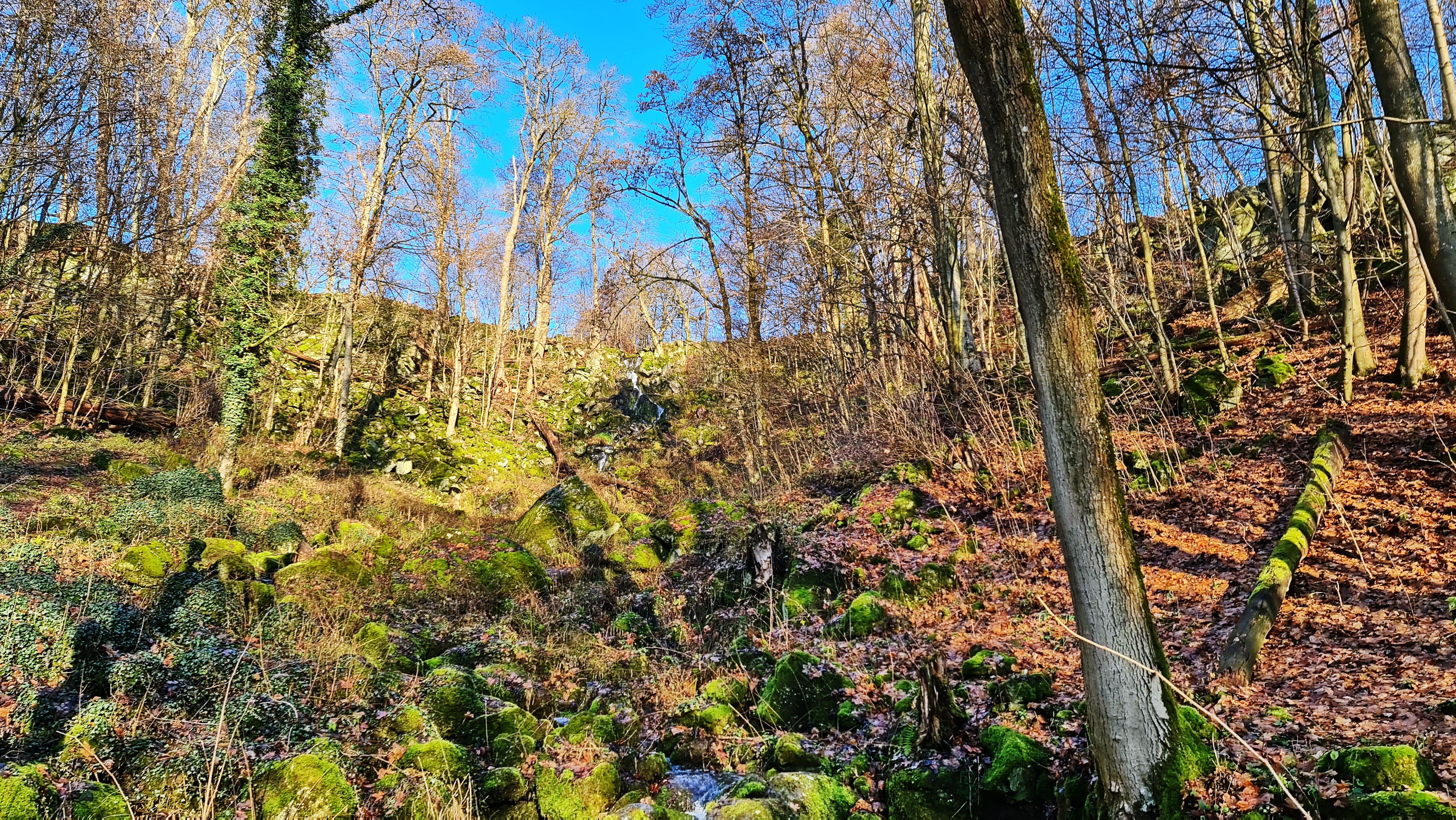 20201219_120405.jpg