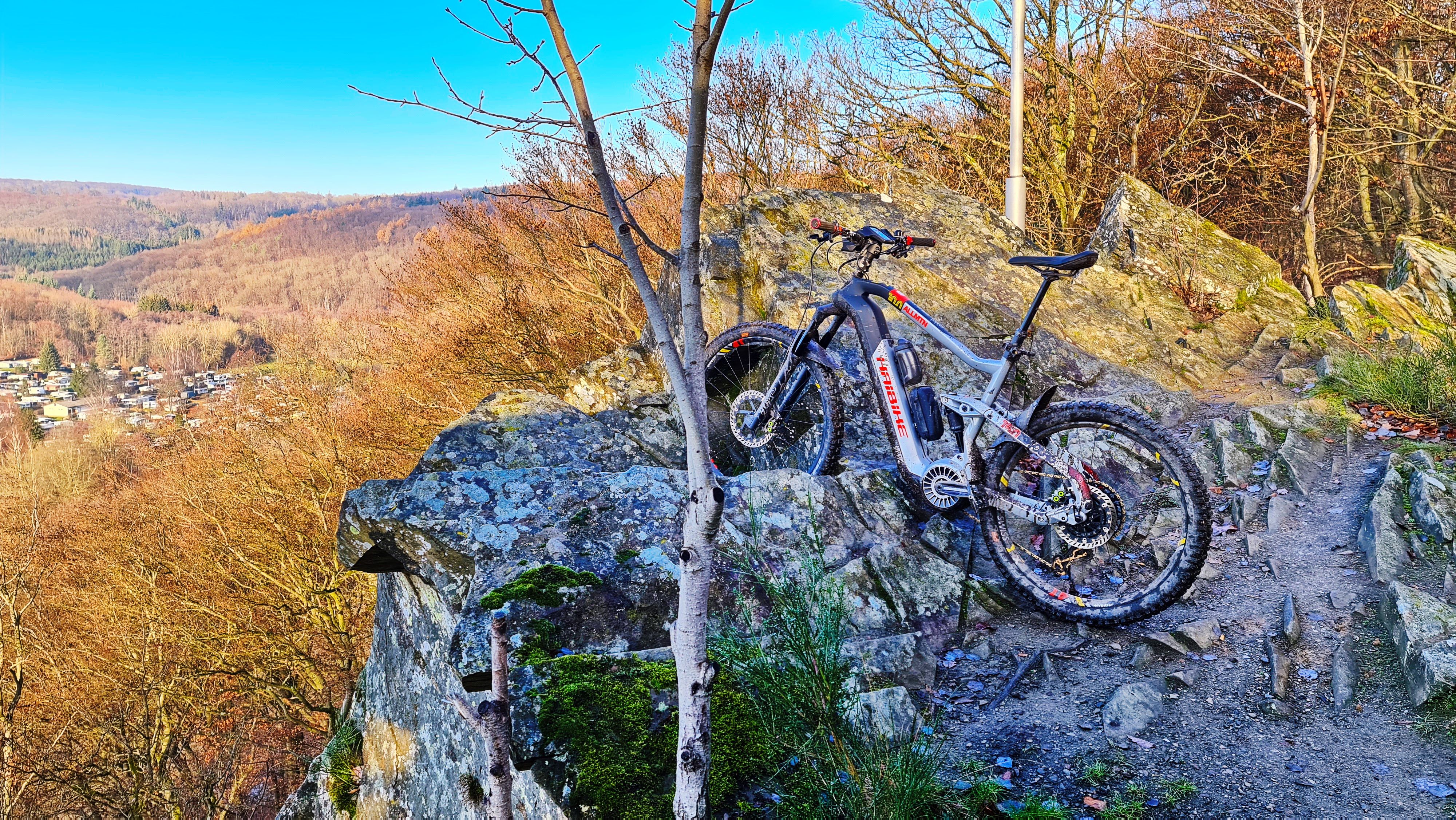 20201219_125202.jpg