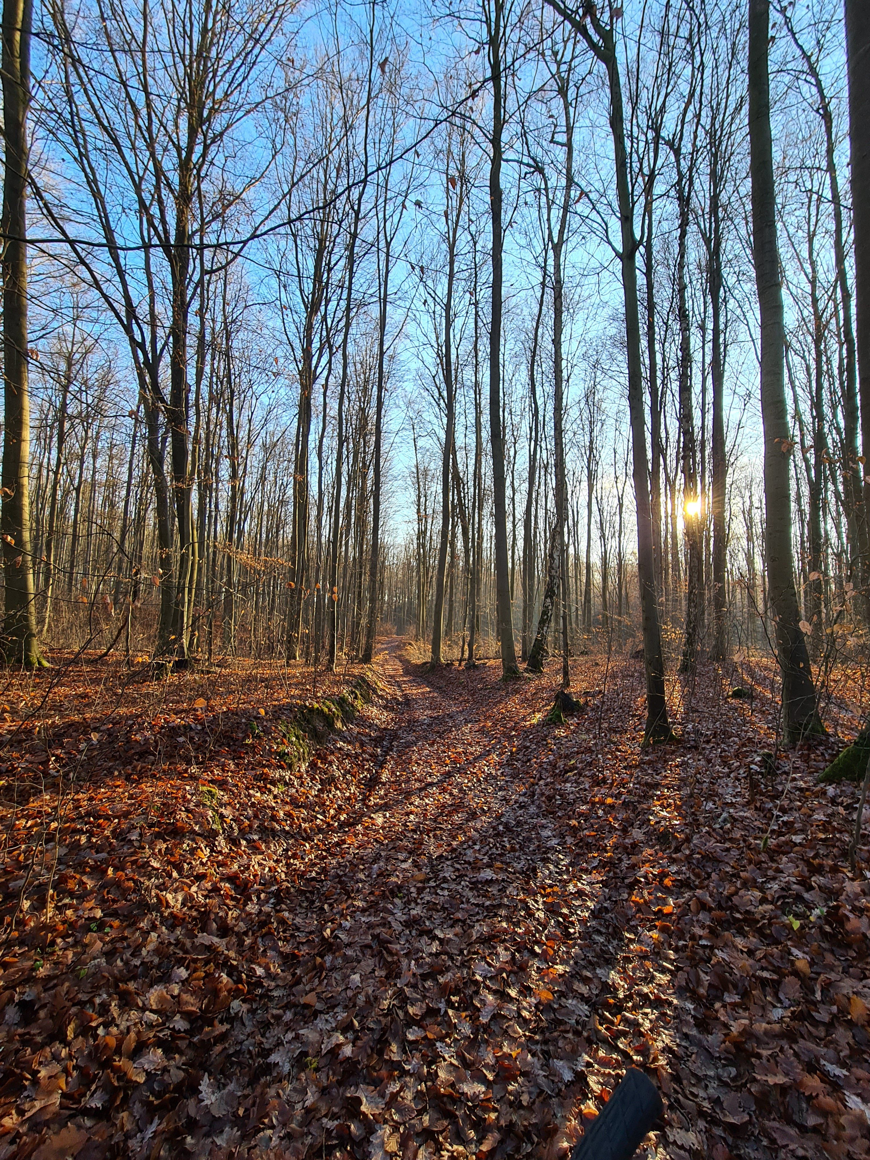 20201219_141228.jpg