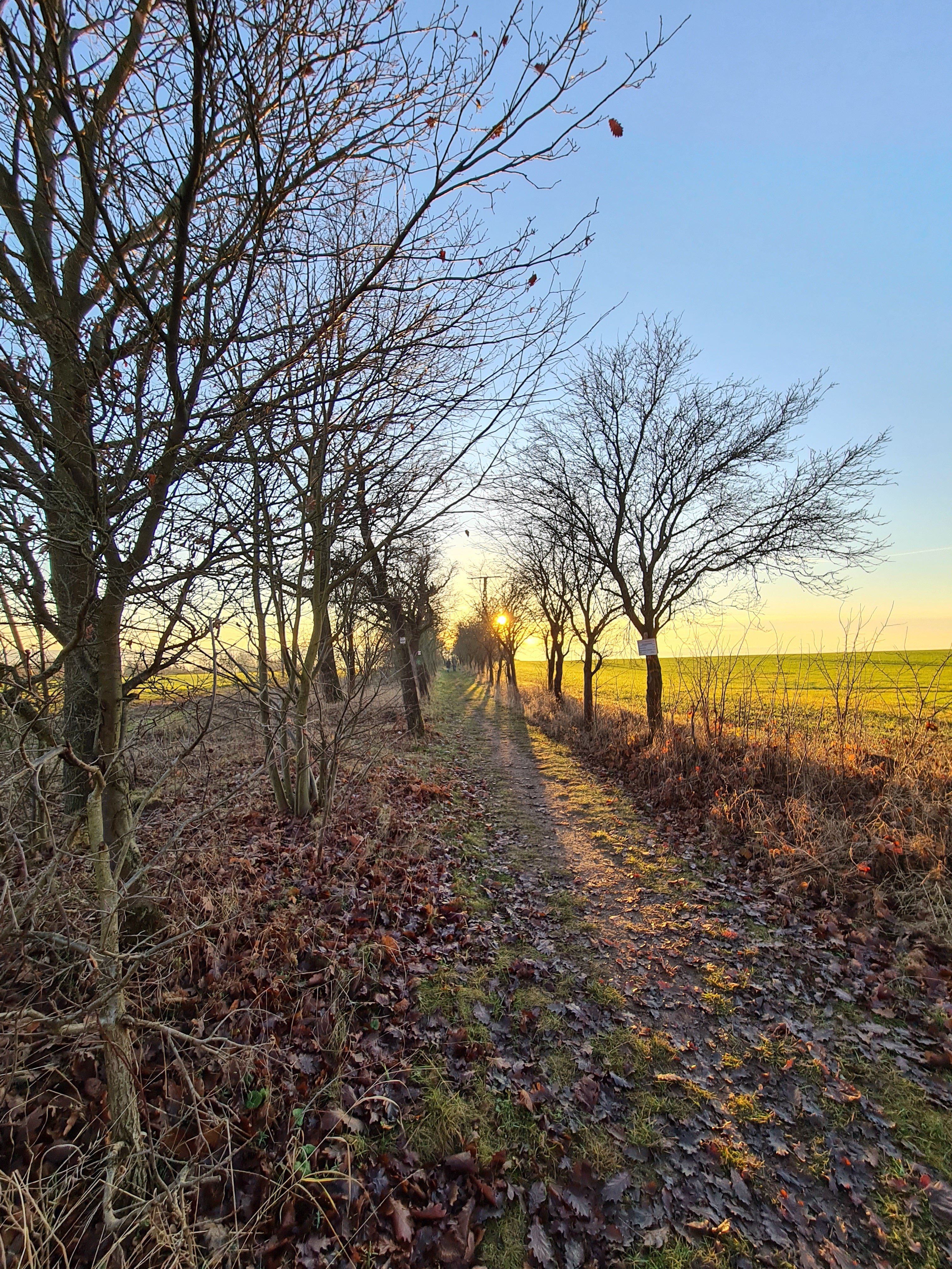 20201219_153314.jpg