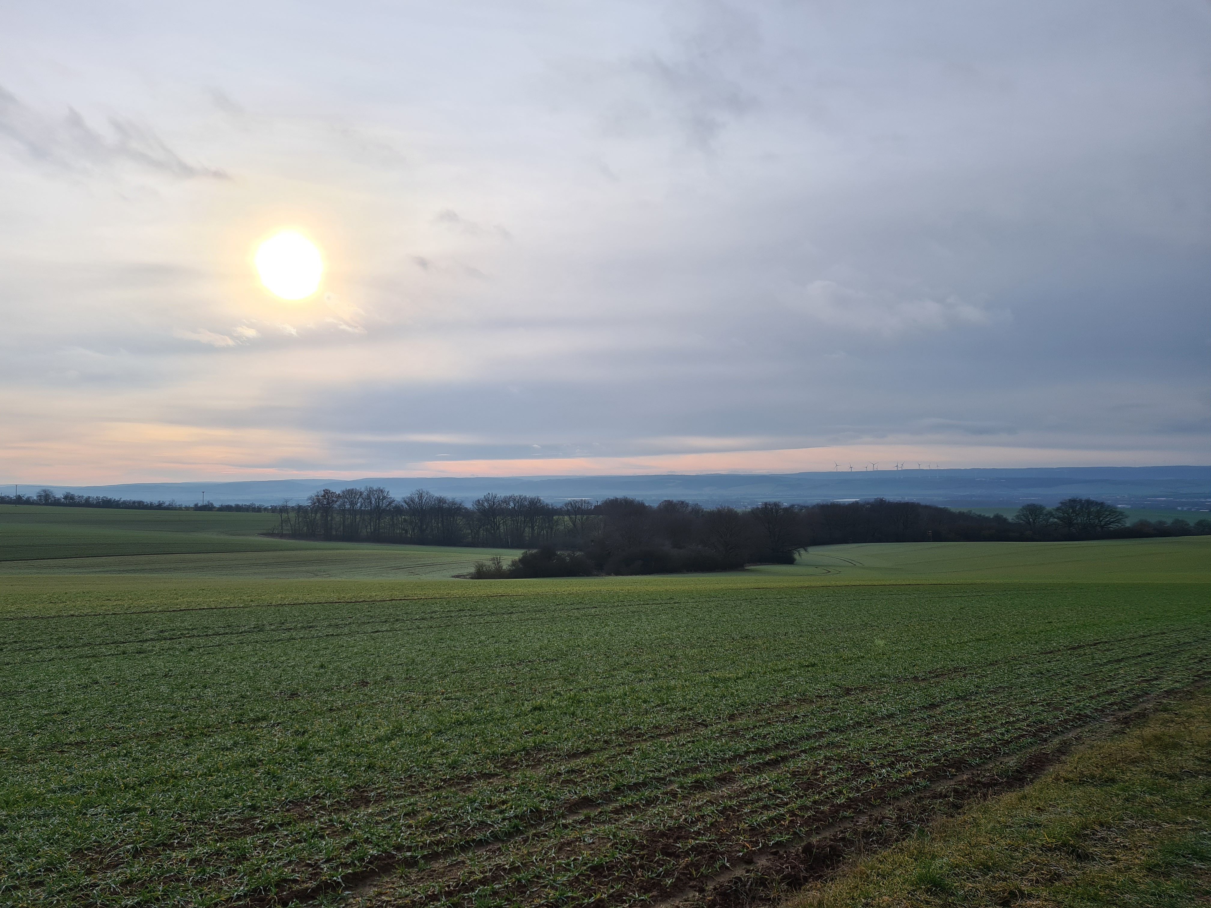20201231_104501.jpg