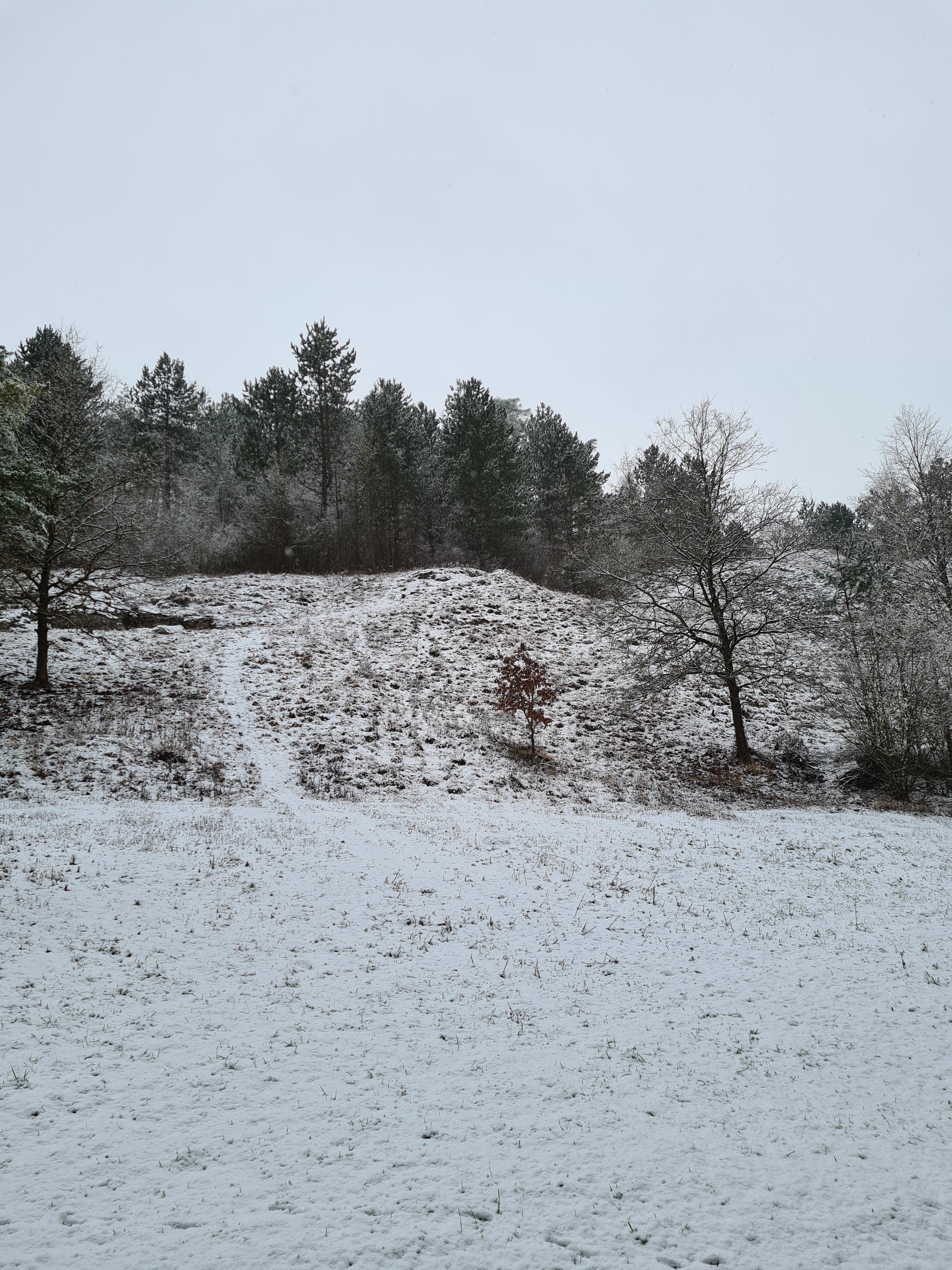 20210124_103939.jpg