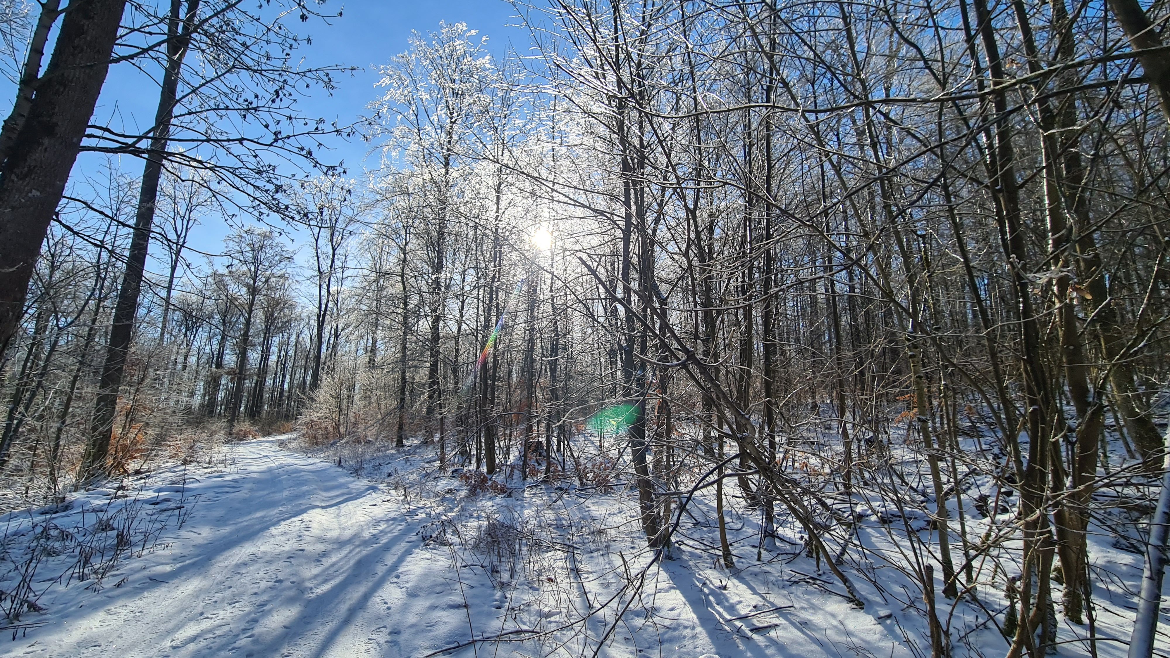 20210214_105218.jpg