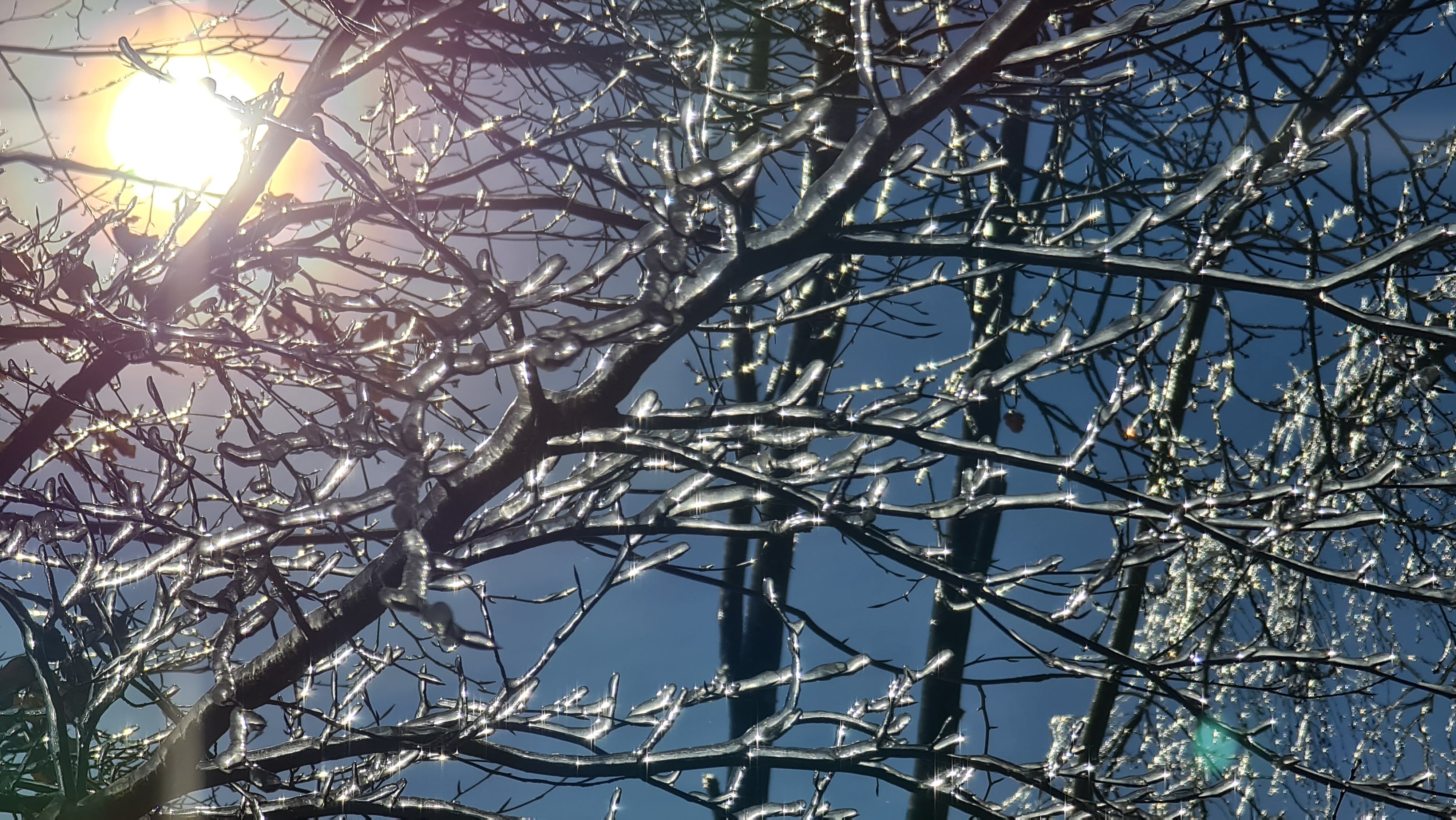 20210214_105756.jpg