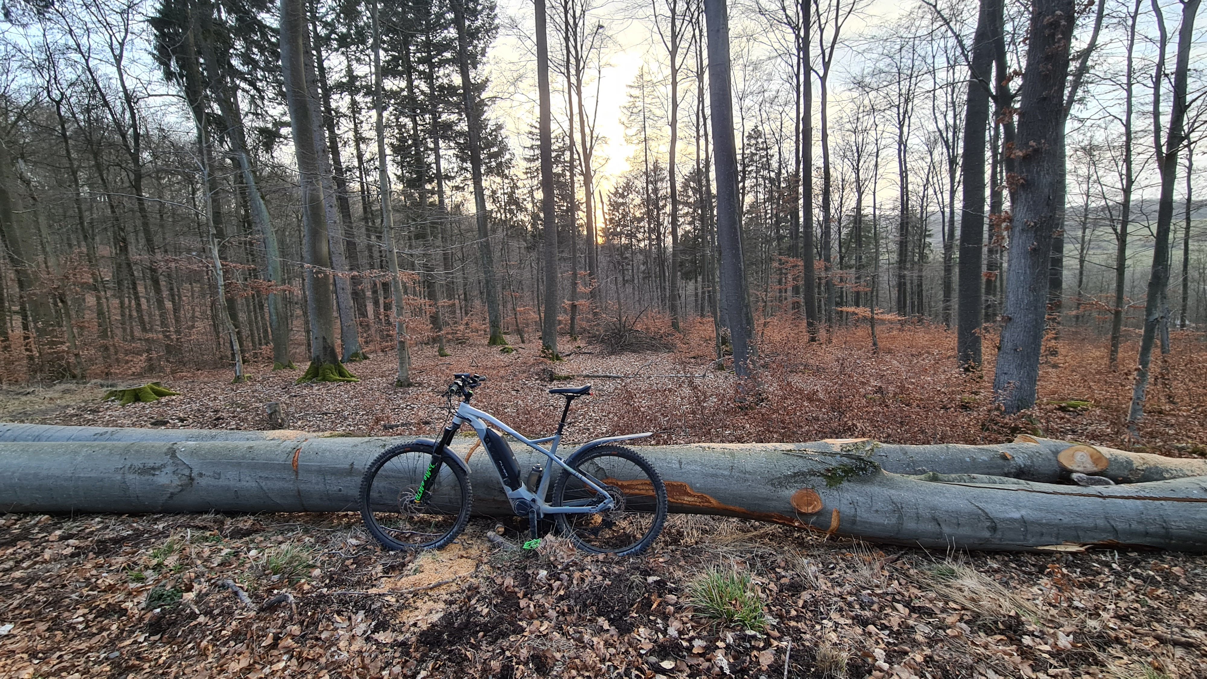 20210225_173717.jpg