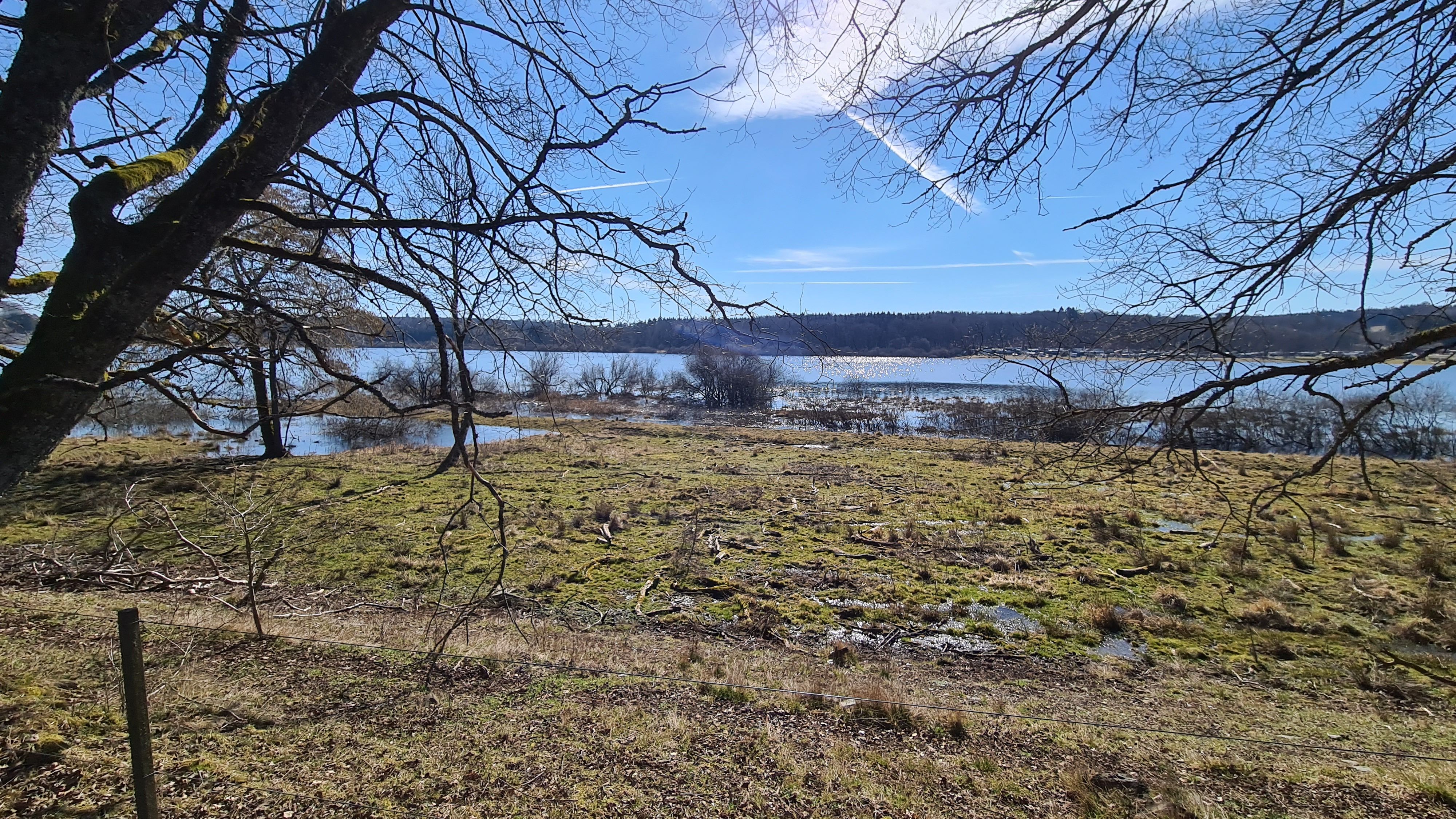 20210306_132049.jpg