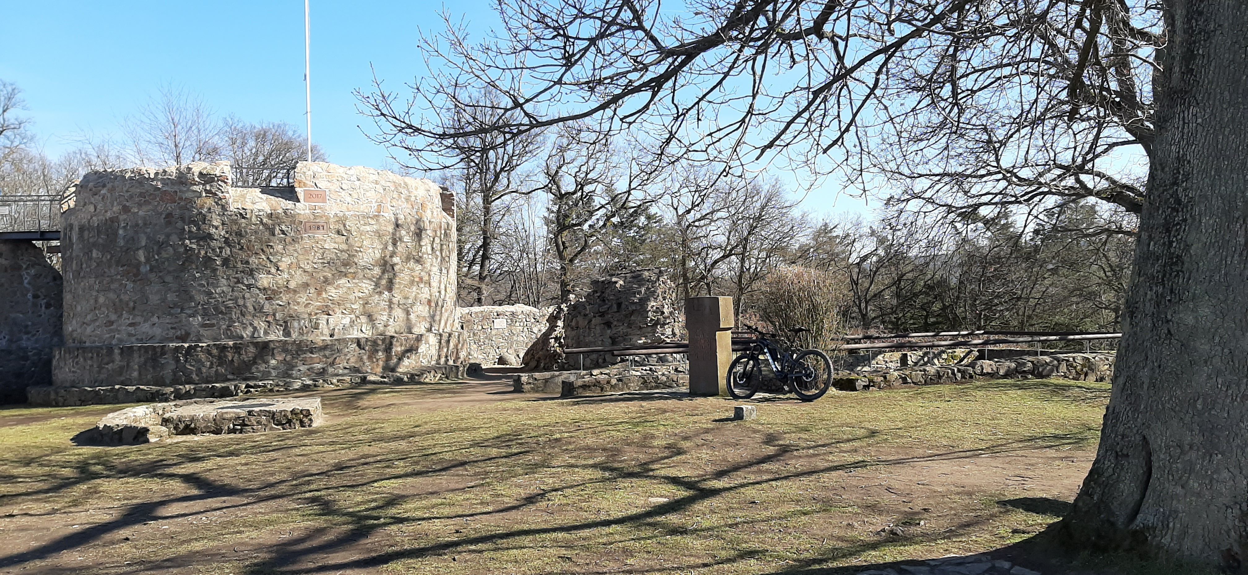 20210306_142501.jpg