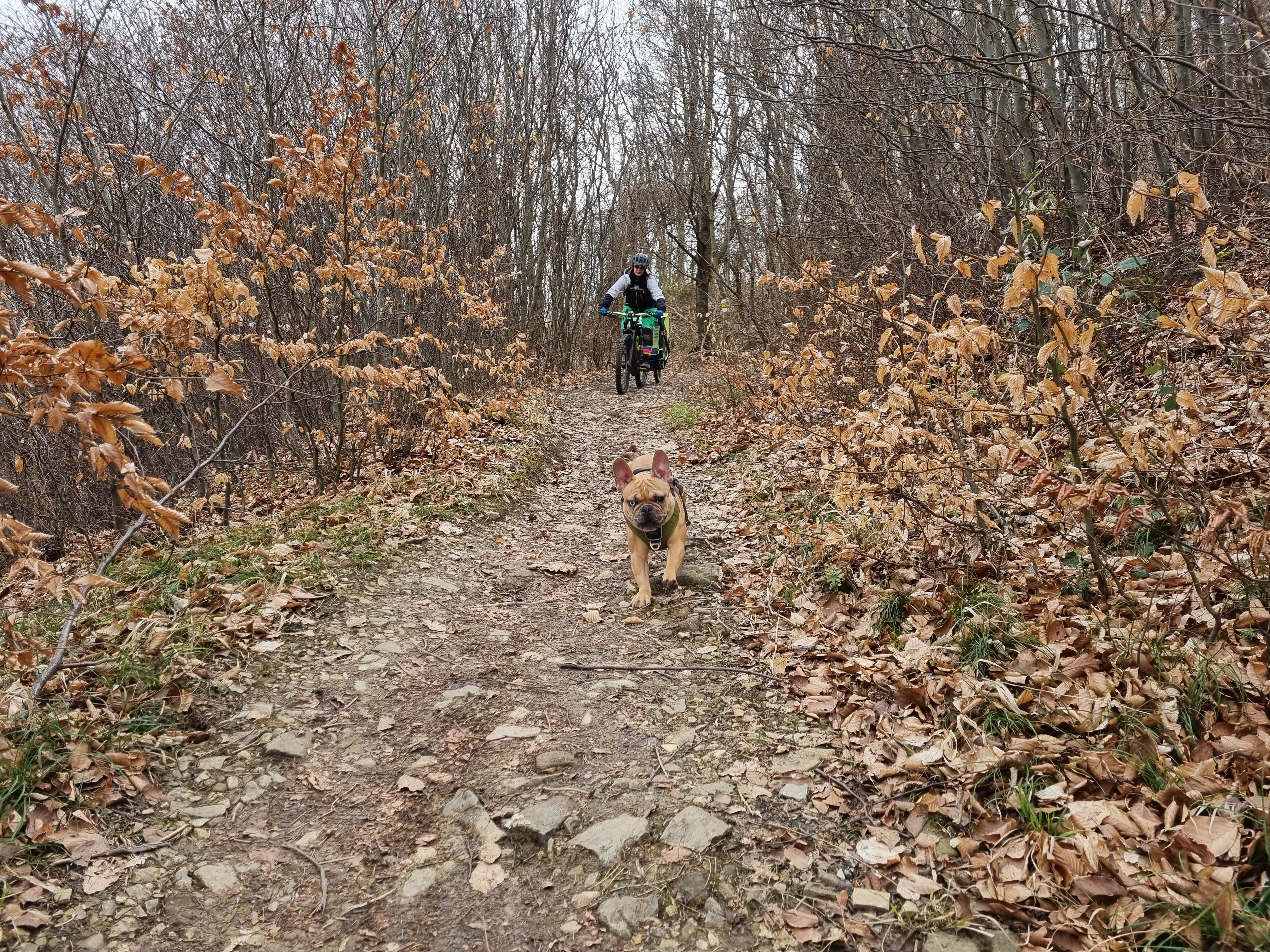 20210313_102537.jpg