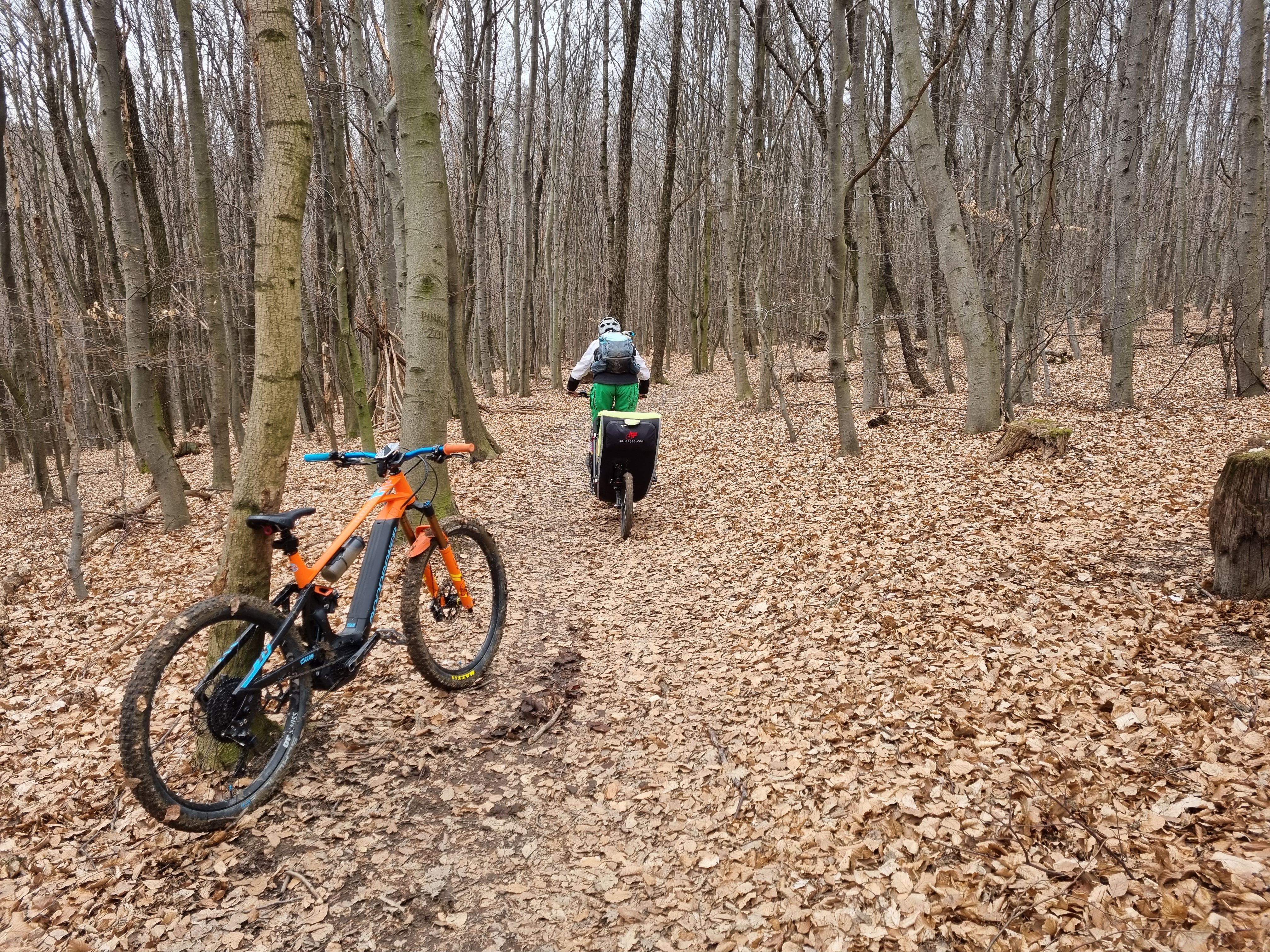20210313_111751.jpg