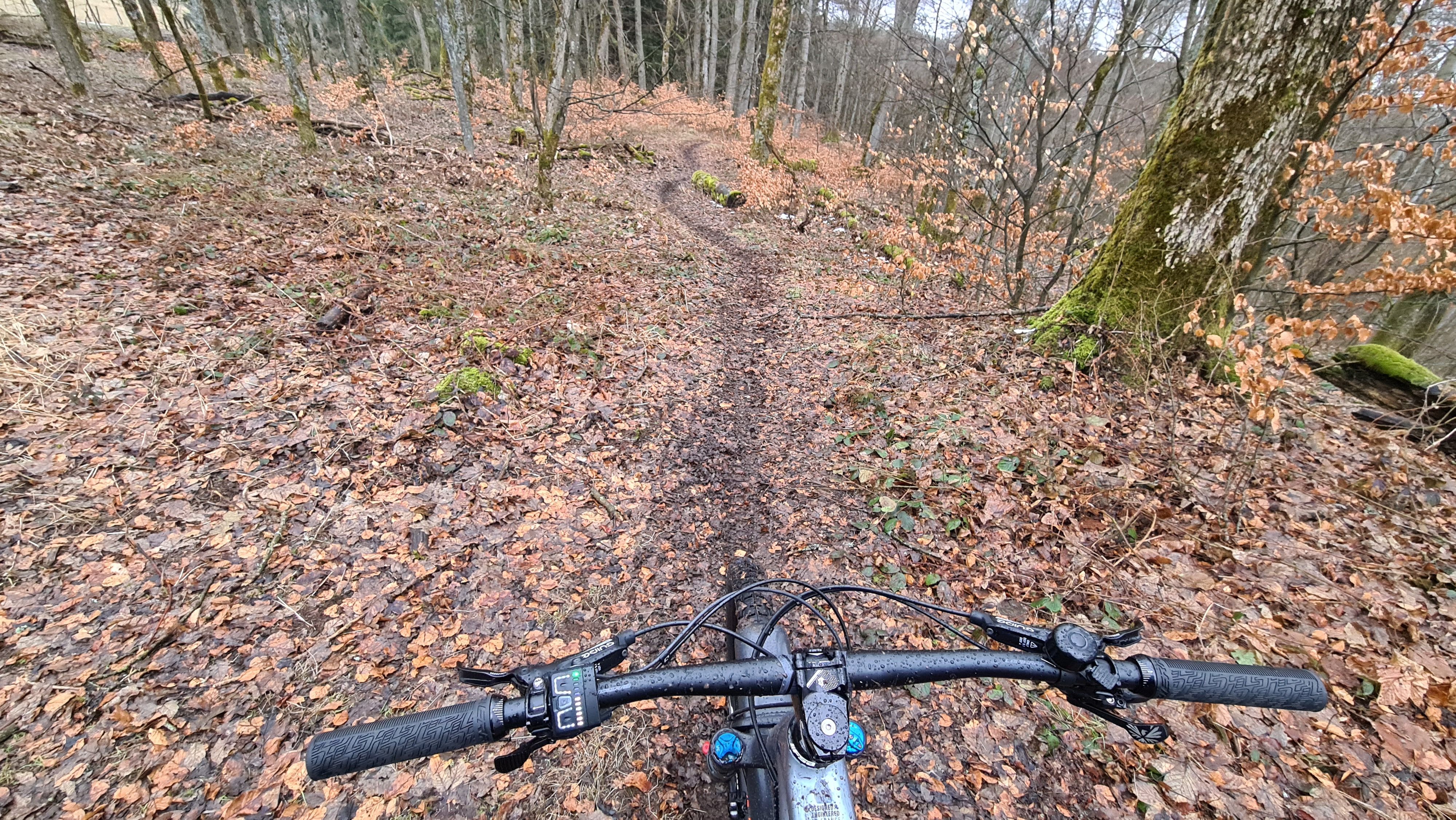 20210316_173304.jpg