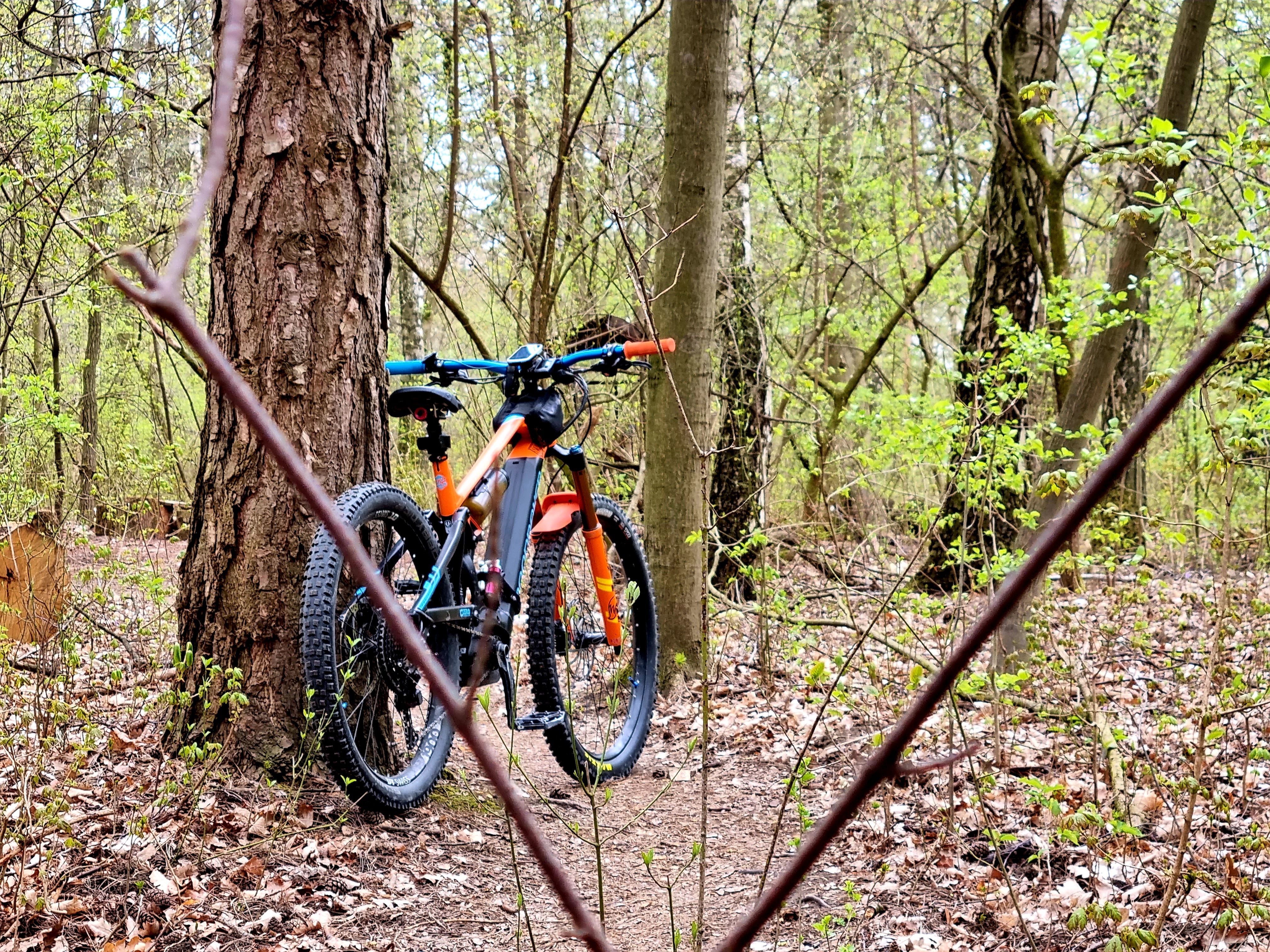 20210416_130135.jpg