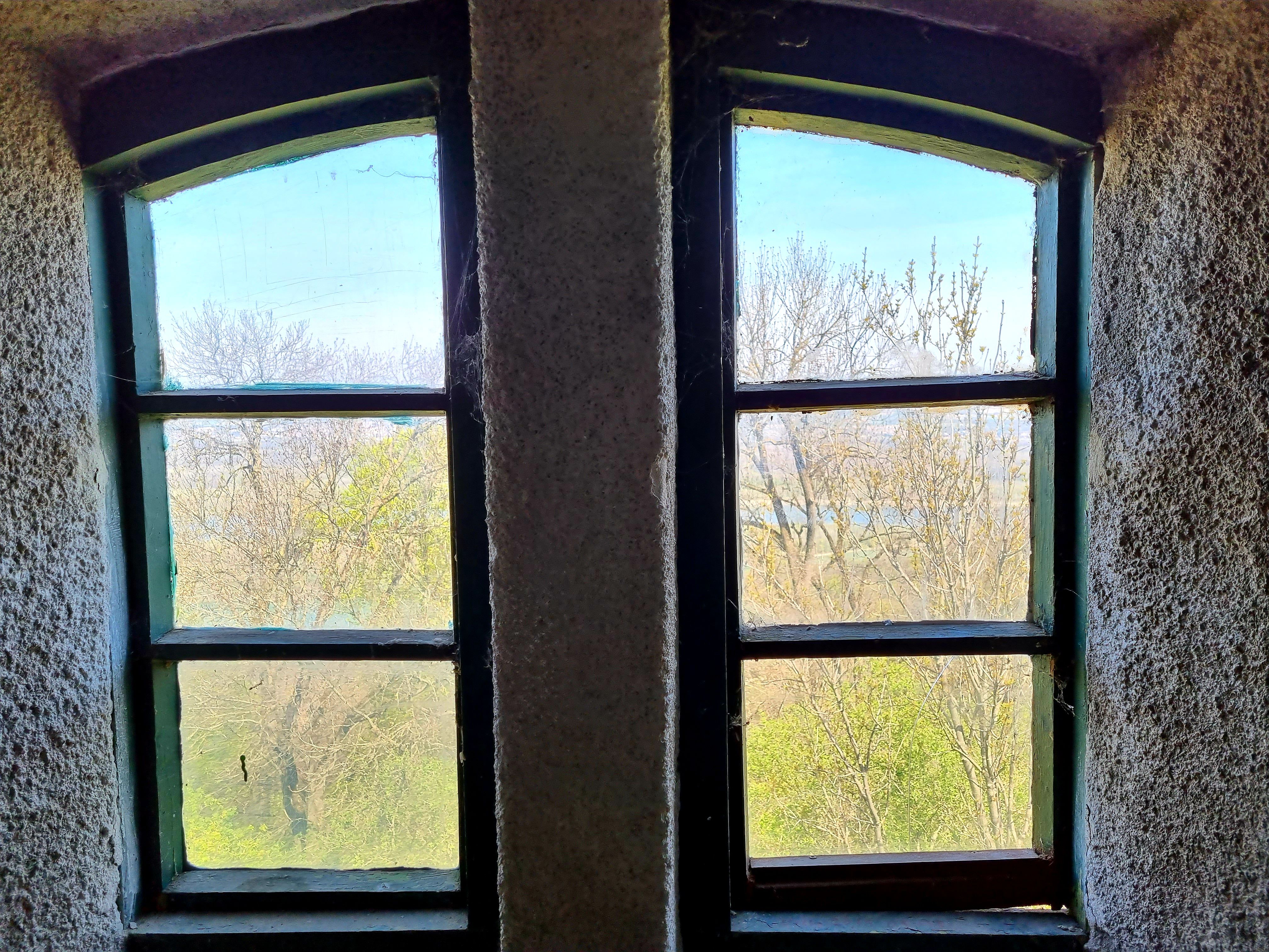 20210424_114357.jpg