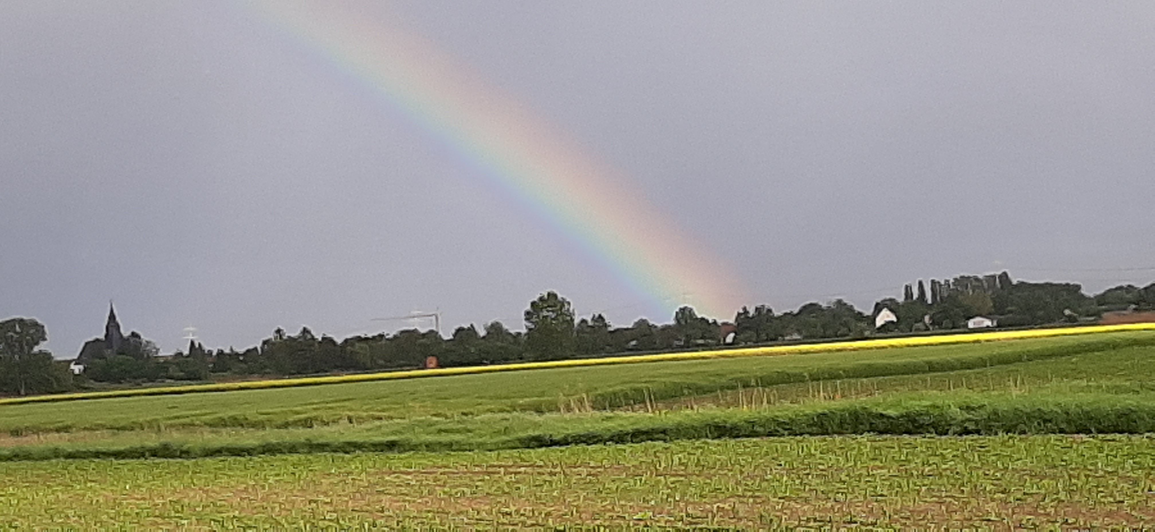 20210521_181534.jpg
