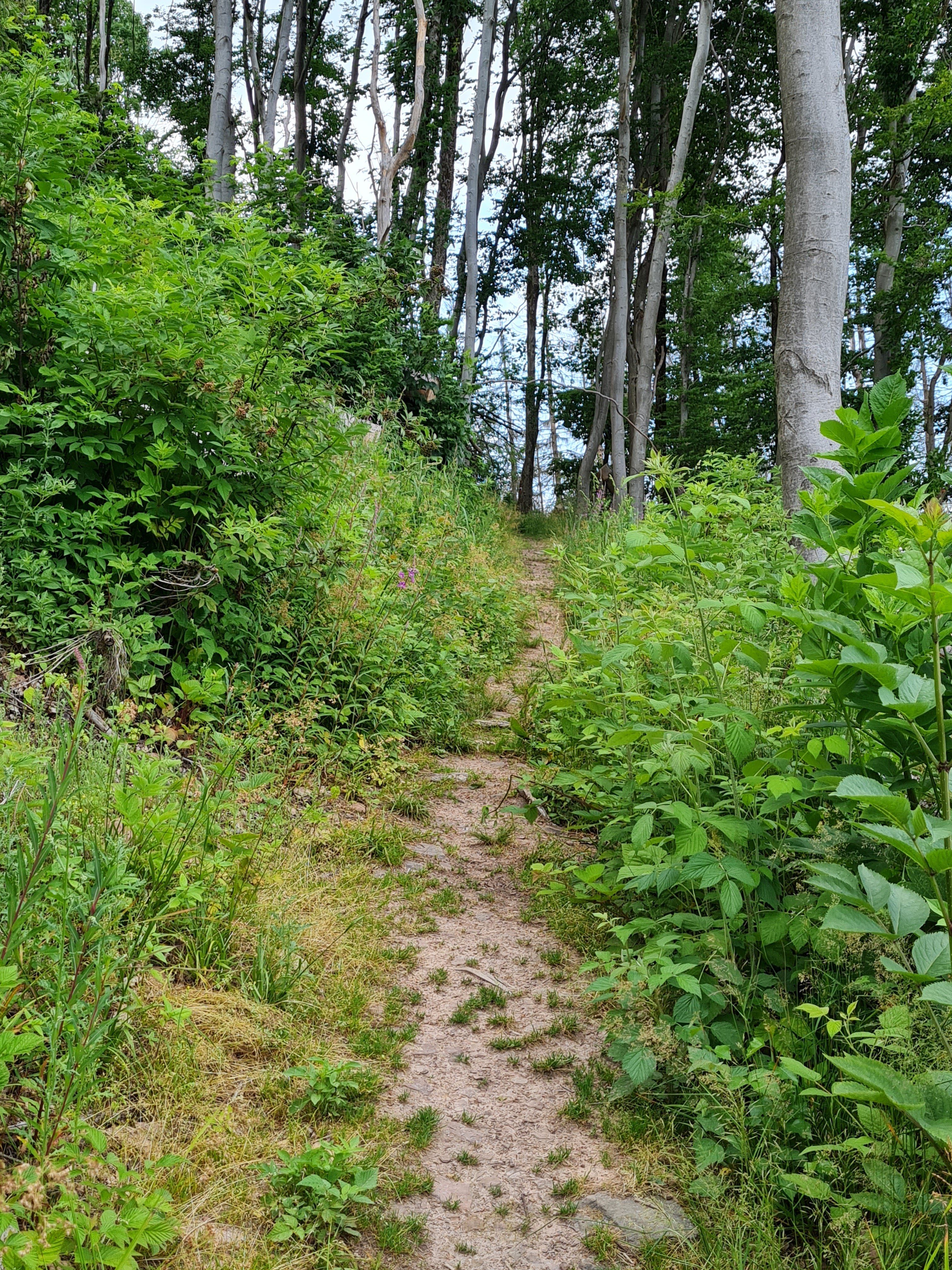 20210623_174913.jpg
