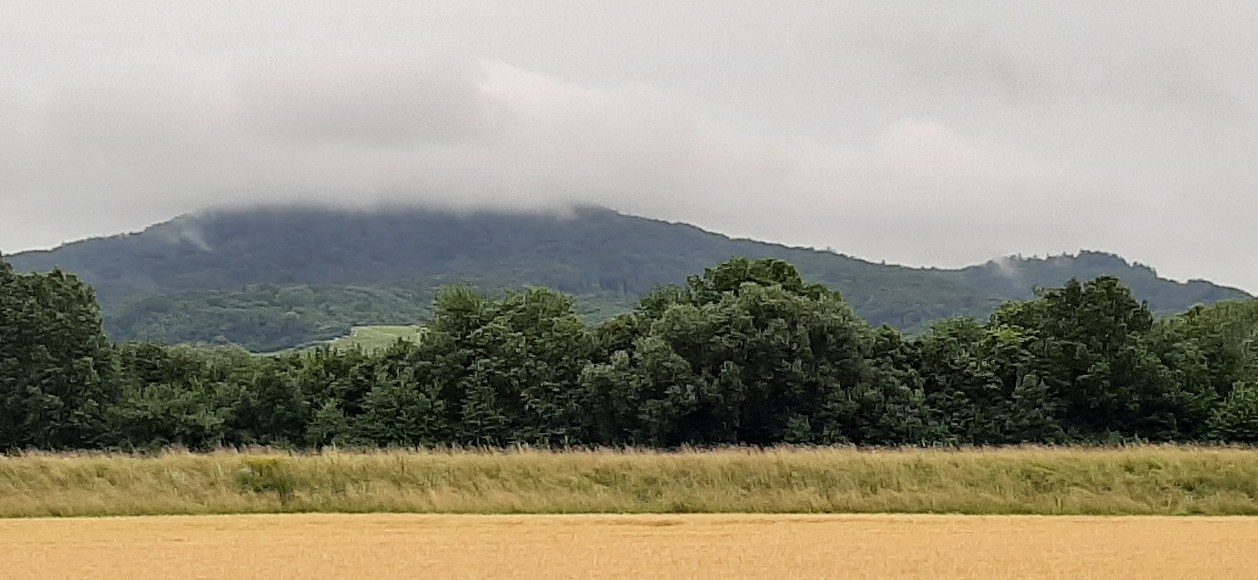 20210706_171547.jpg